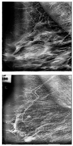 Electronics 13 03575 i009