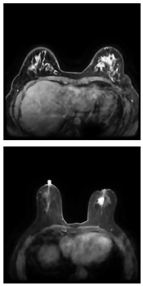 Electronics 13 03575 i020