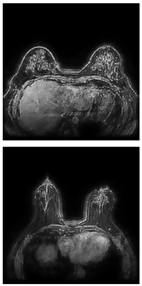 Electronics 13 03575 i021