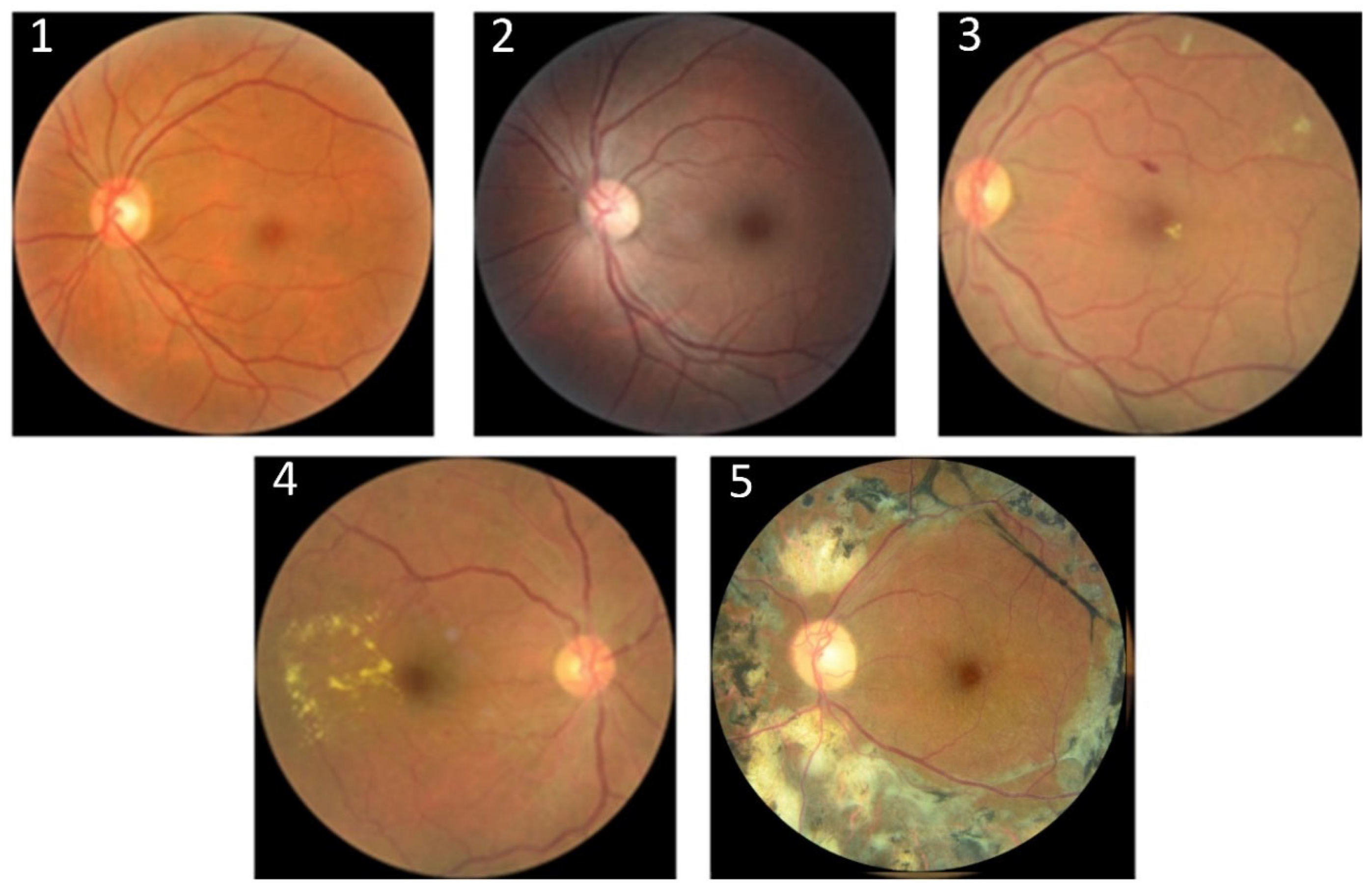 Electronics 13 03603 g002