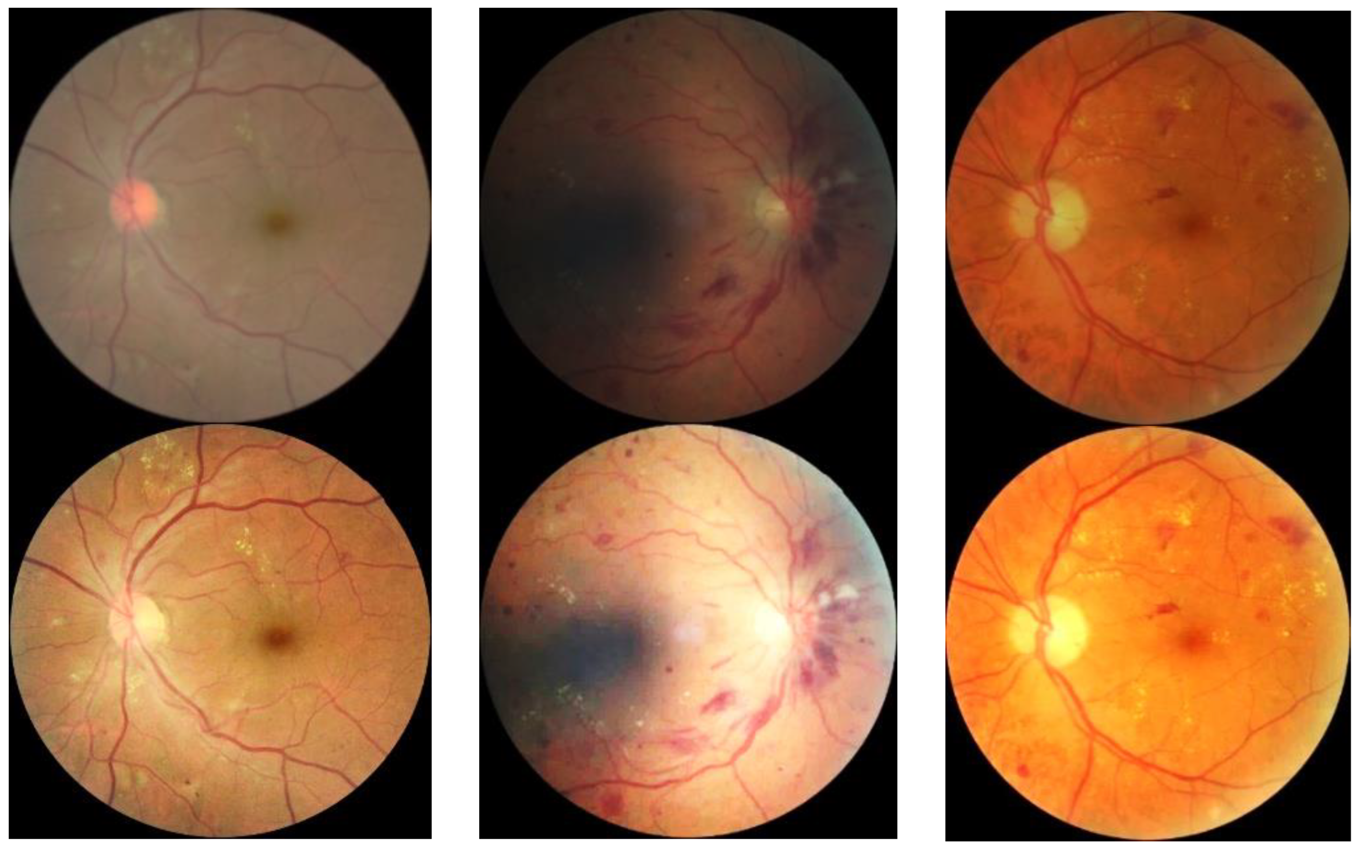 Electronics 13 03603 g003