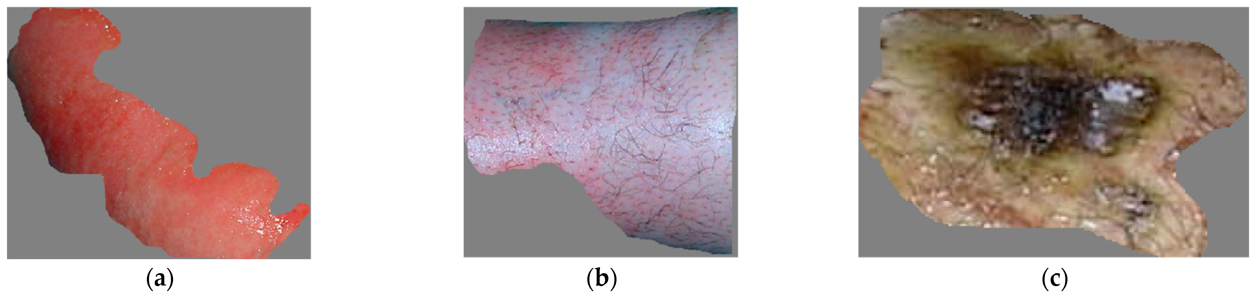 Electronics 13 03665 g001