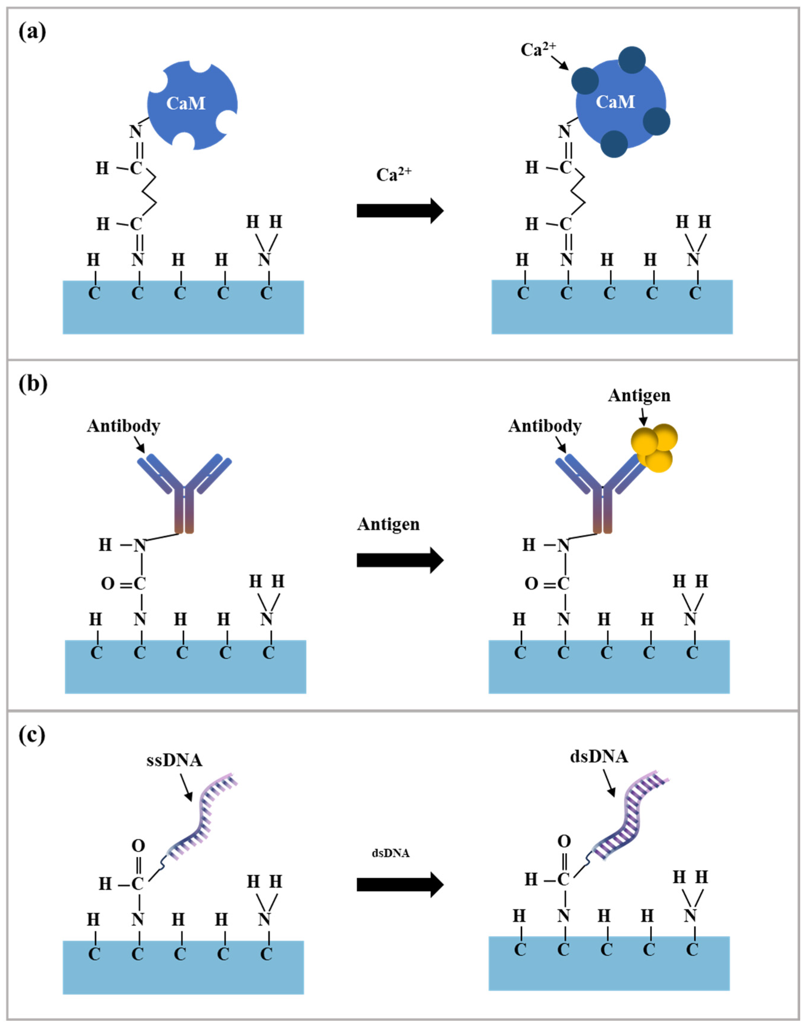 Electronics 13 03881 g008