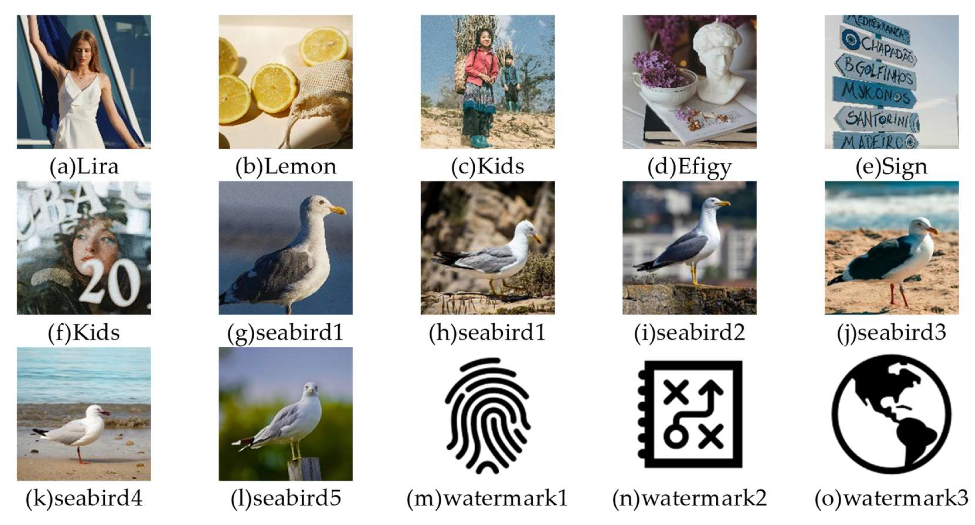 Electronics 13 03906 g006