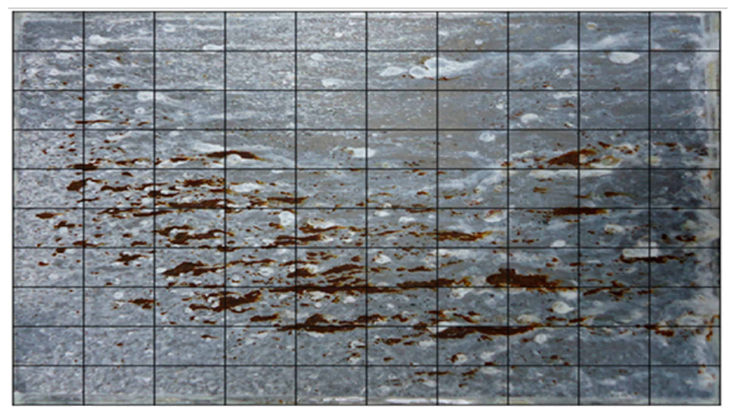 Electronics 13 03998 g003