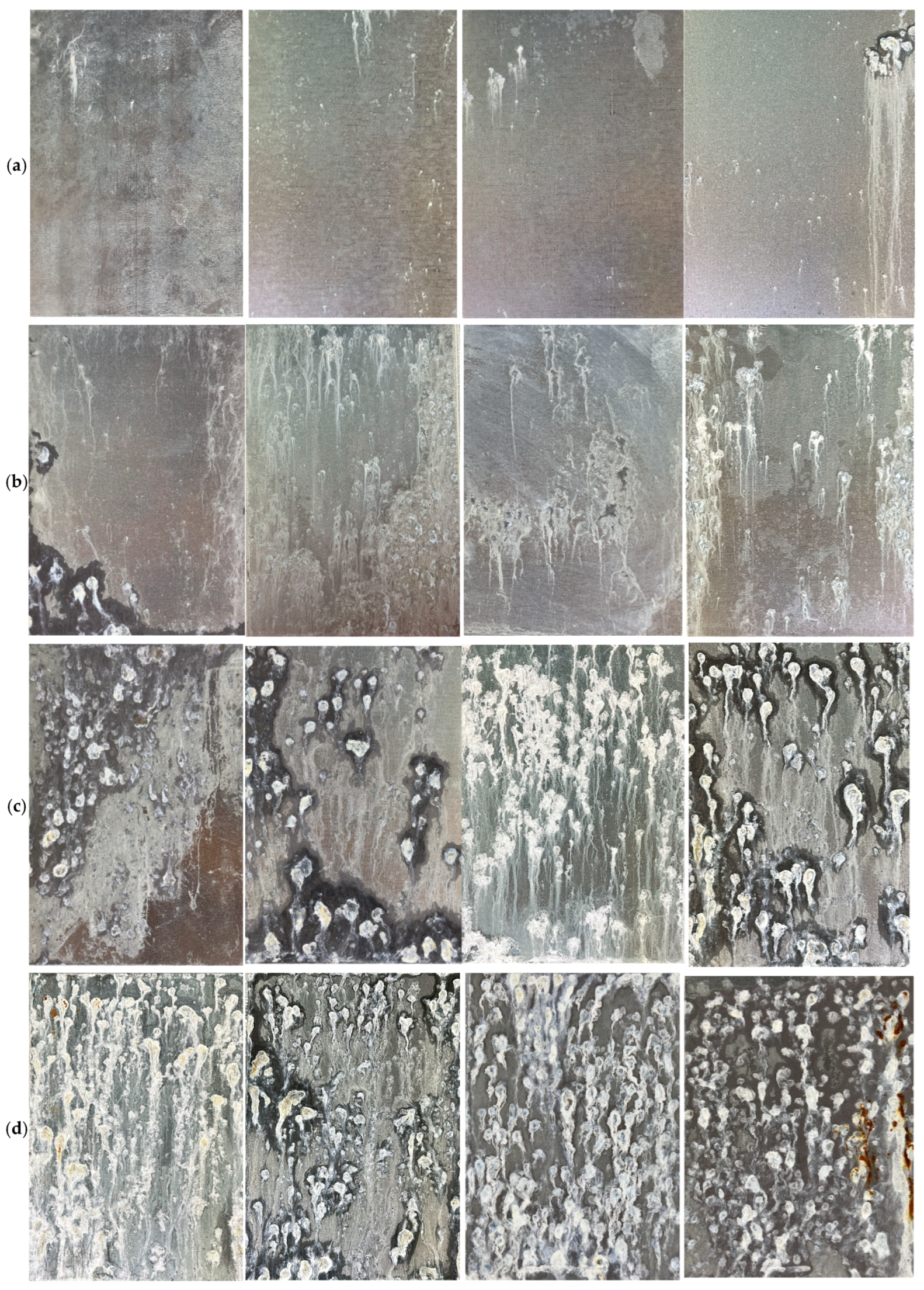 Electronics 13 03998 g005