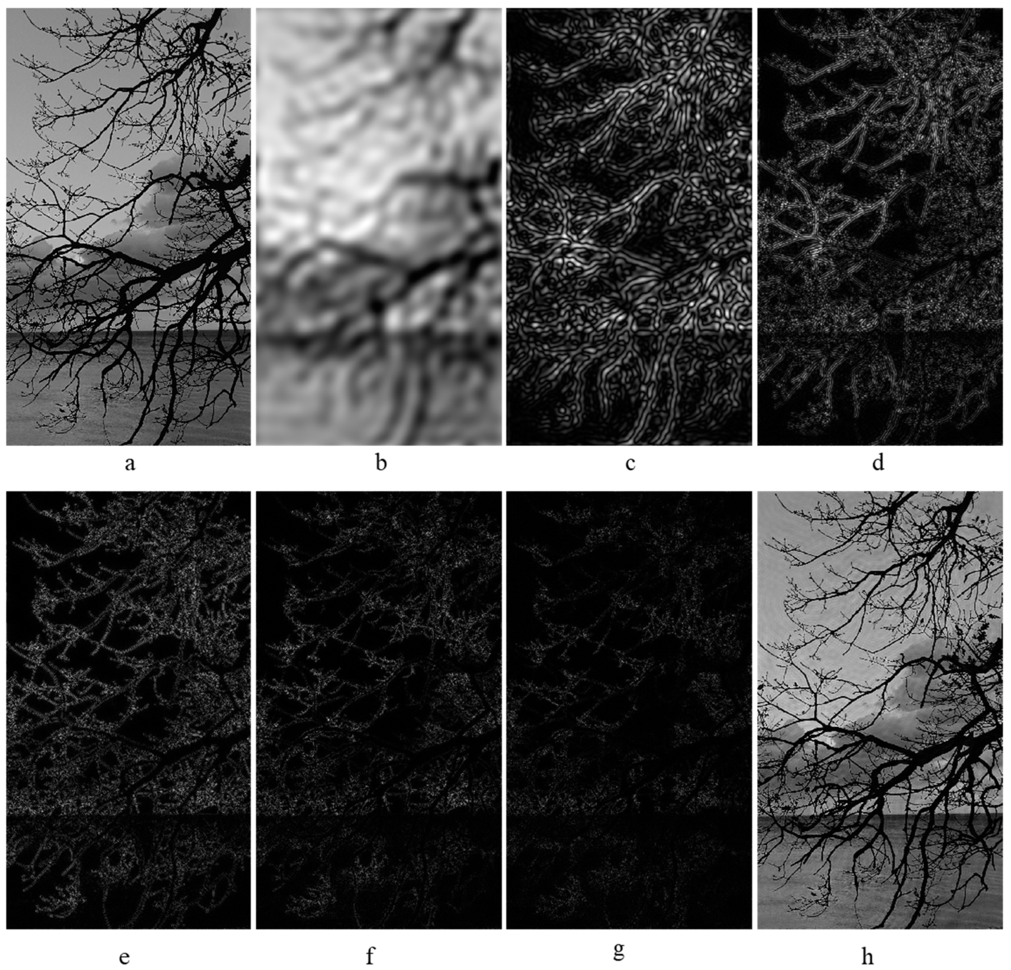 Electronics 13 04146 g013