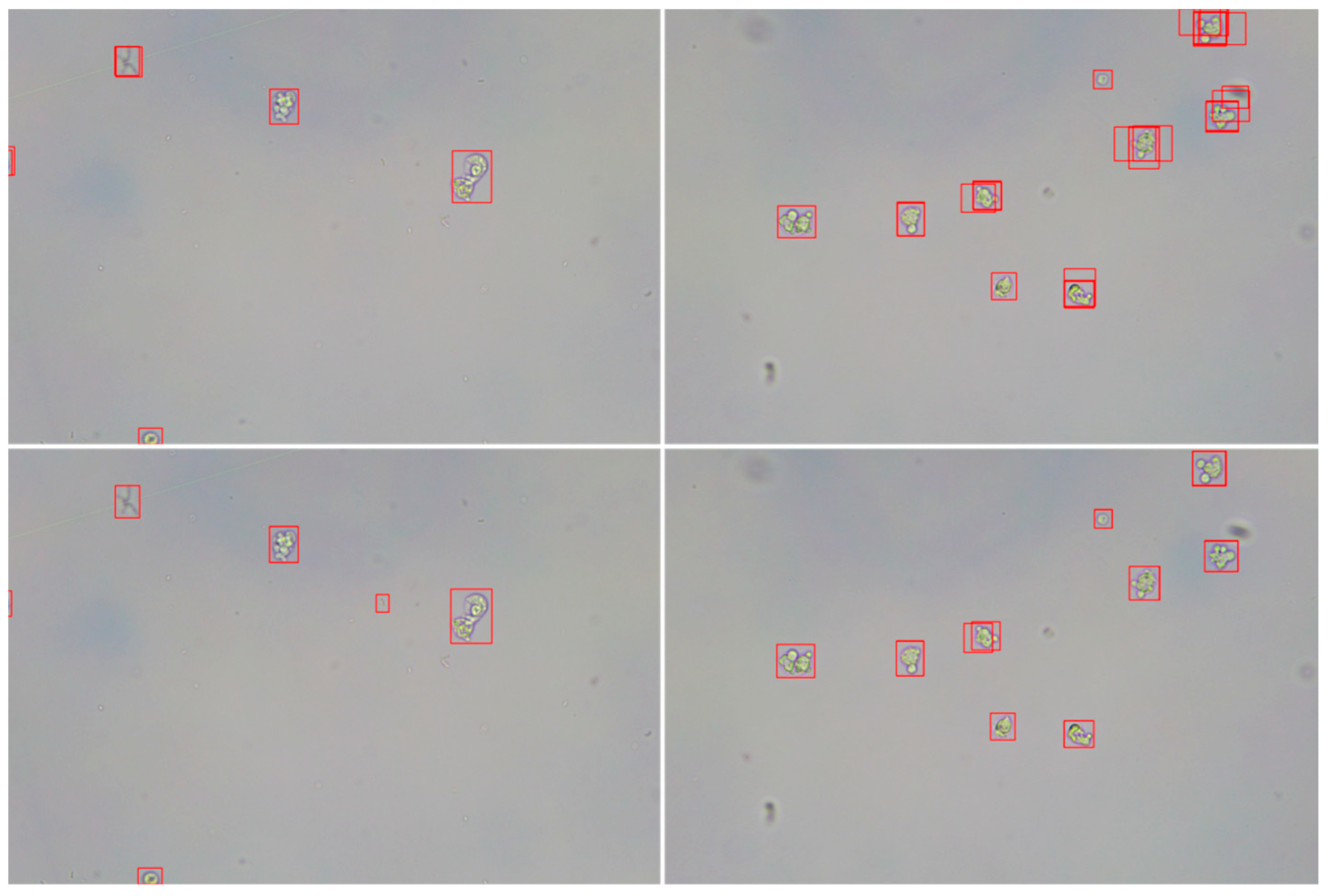 Electronics 13 04204 g004