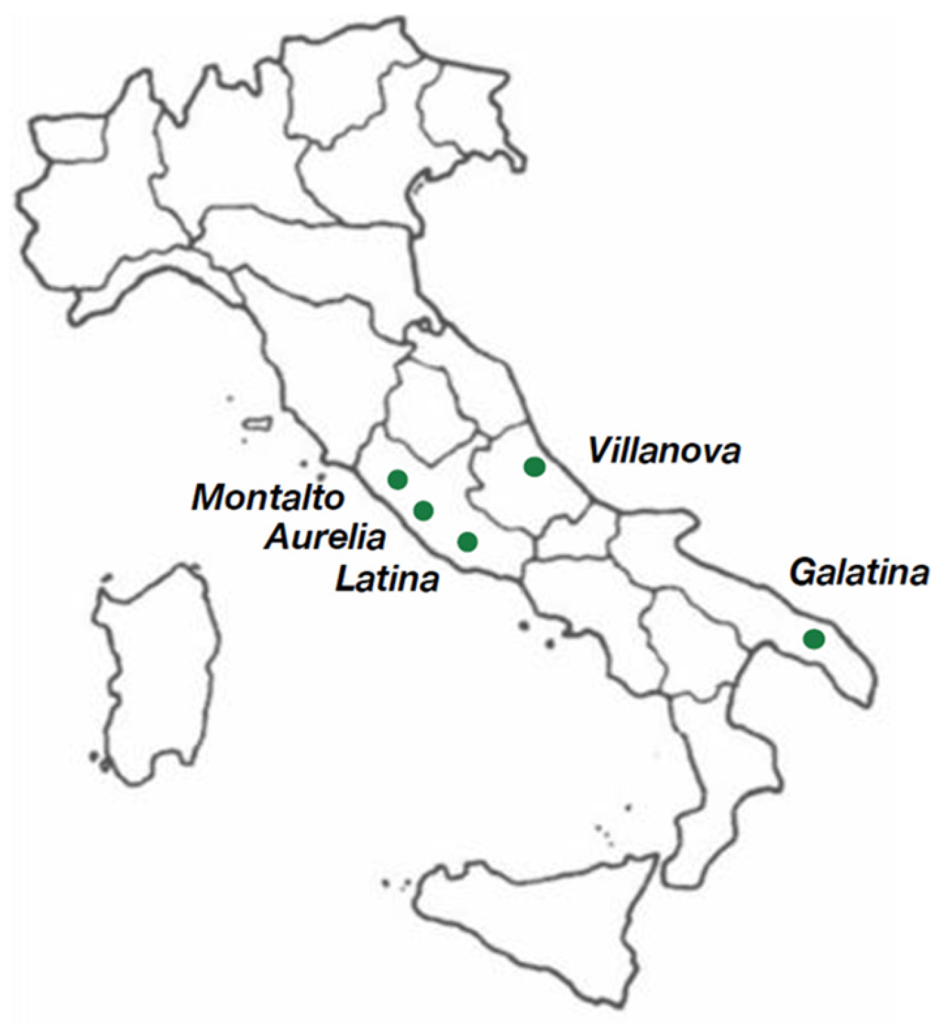 Electronics 13 04262 g020