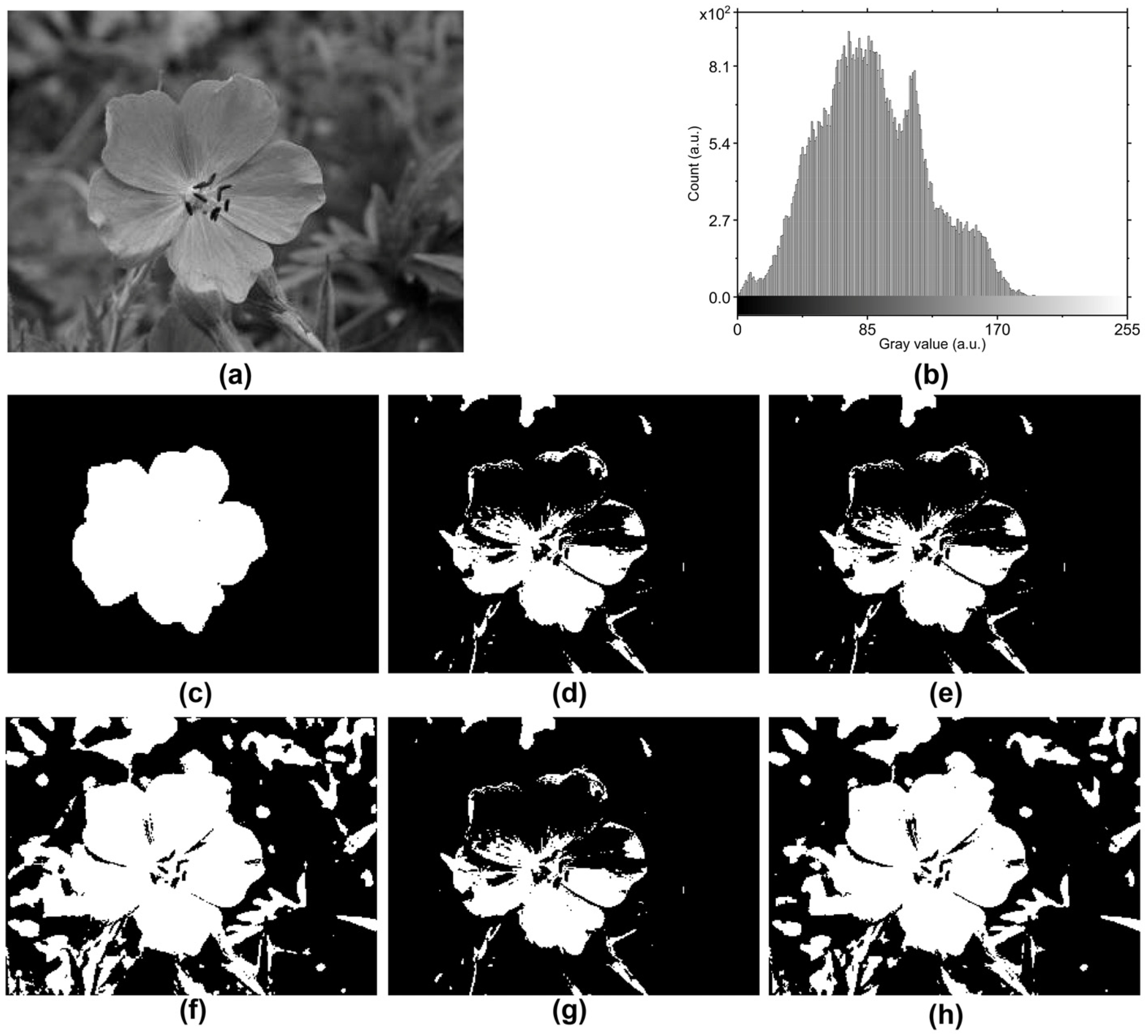 Electronics 13 04297 g006