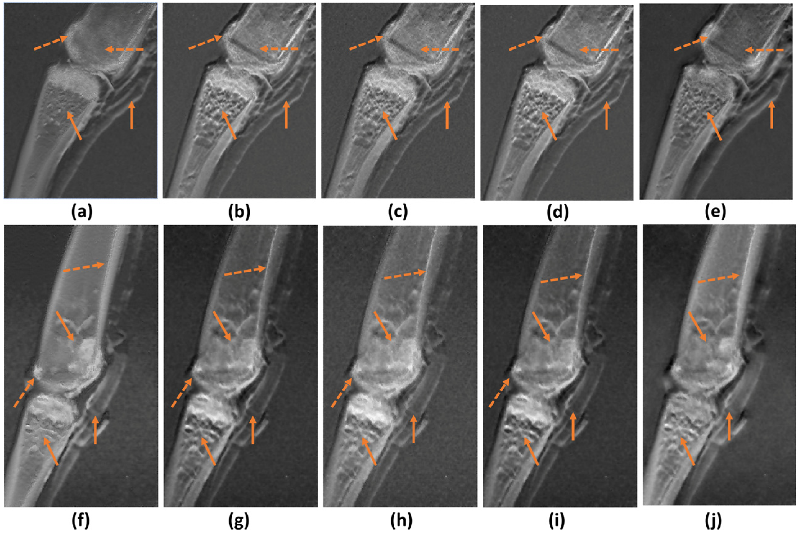 Electronics 13 04297 g011