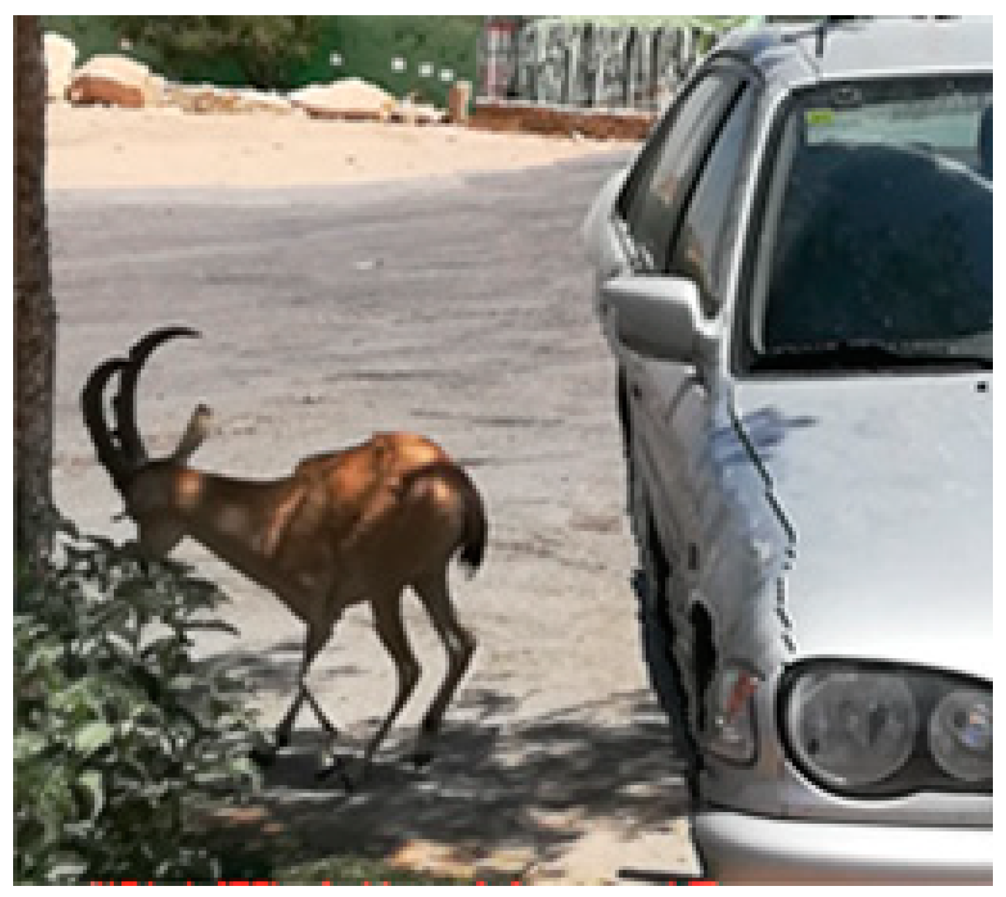 Electronics 13 04459 g002