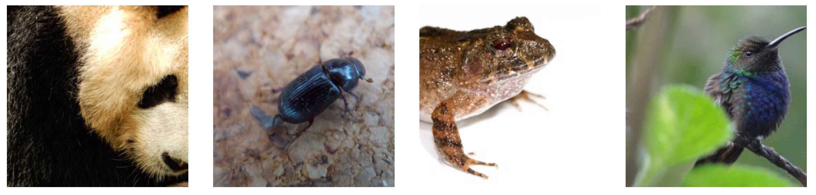 Electronics 13 04480 g002a