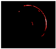 Electronics 13 04484 i005