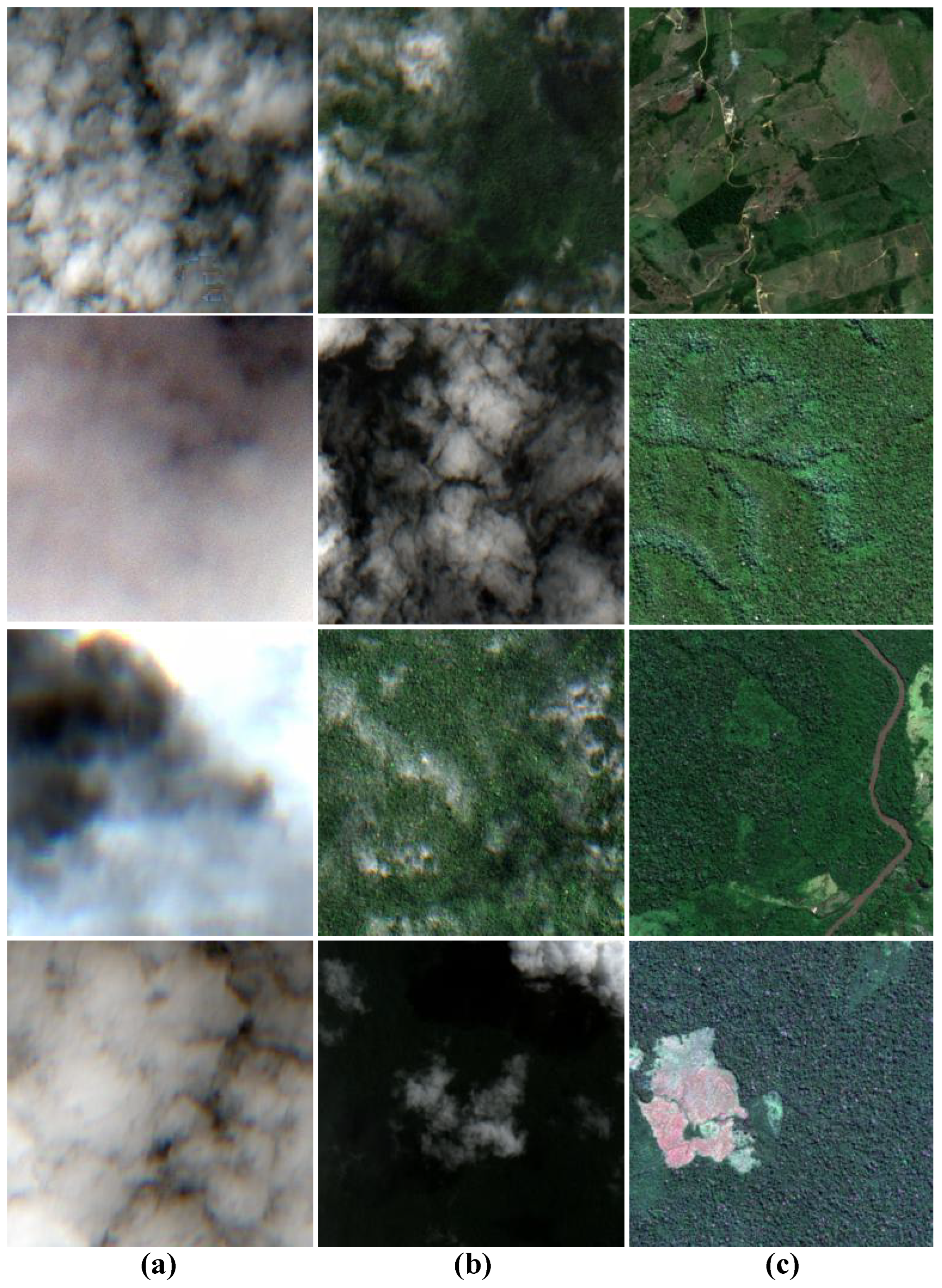 Electronics 13 04529 g003