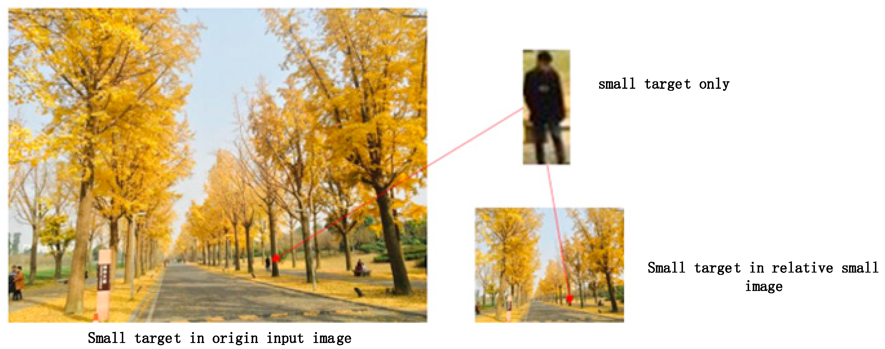 Electronics 13 04535 g001