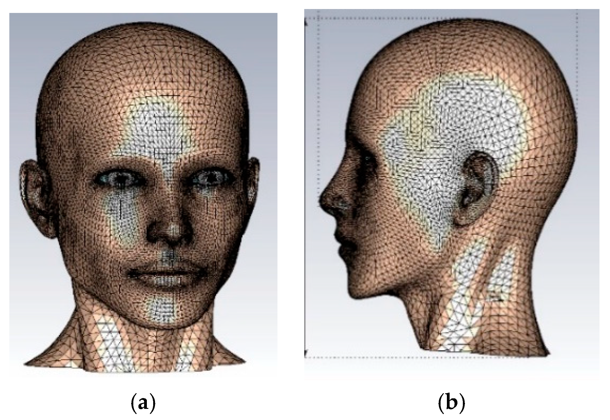 Electronics 13 04551 g001