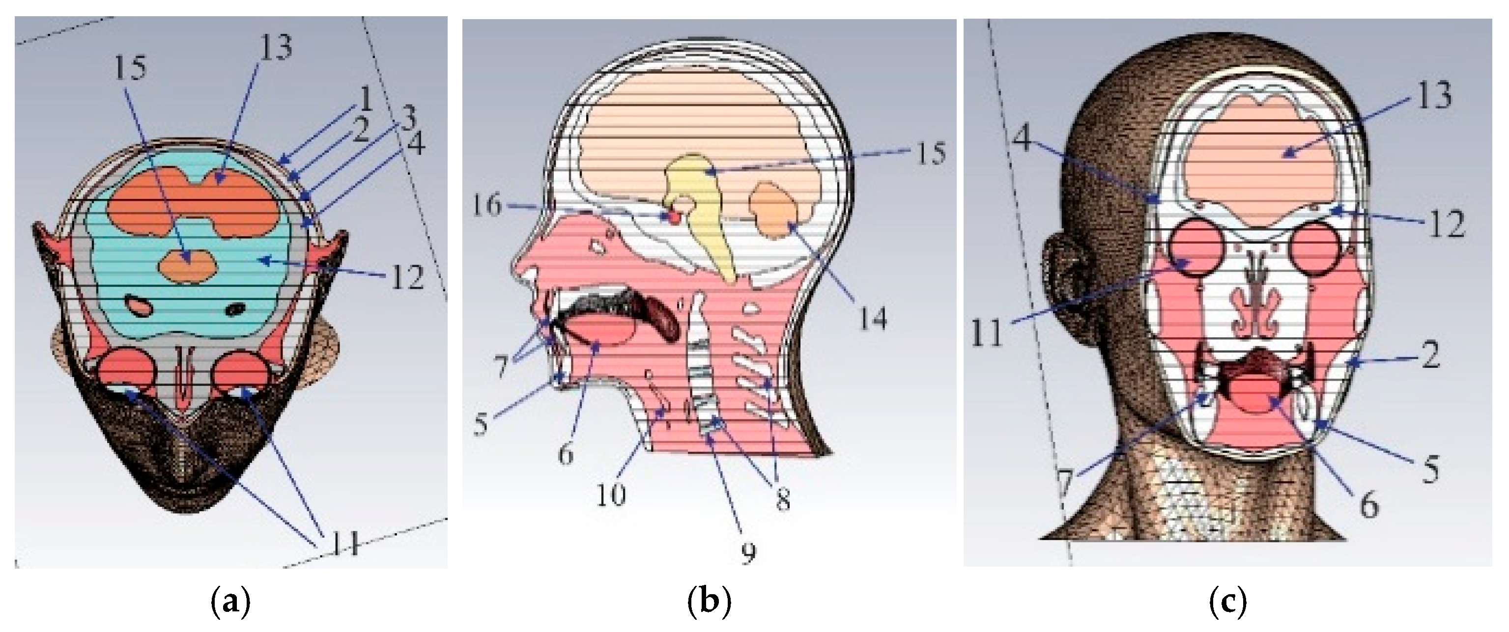 Electronics 13 04551 g002