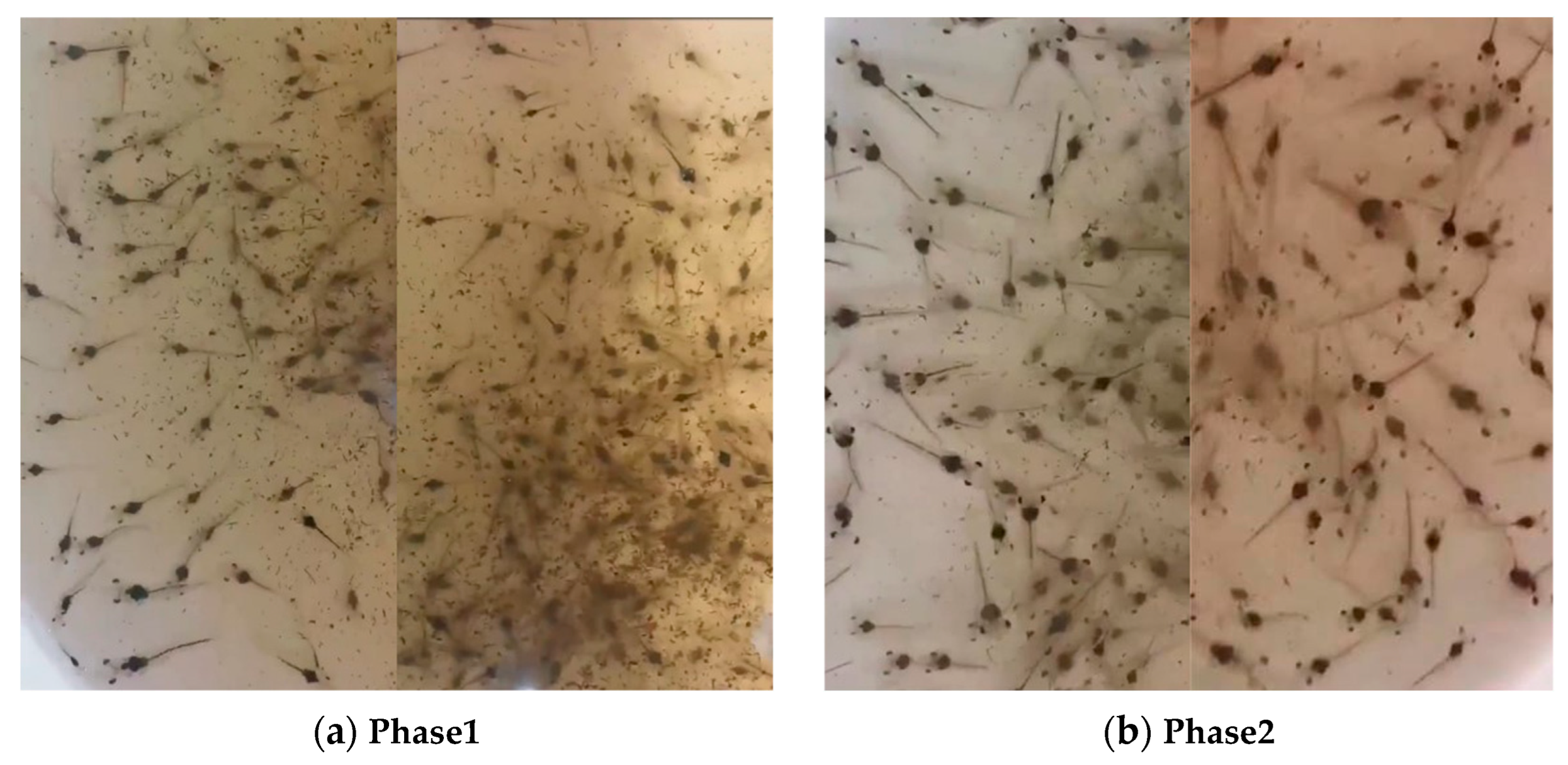 Electronics 13 04737 g005a