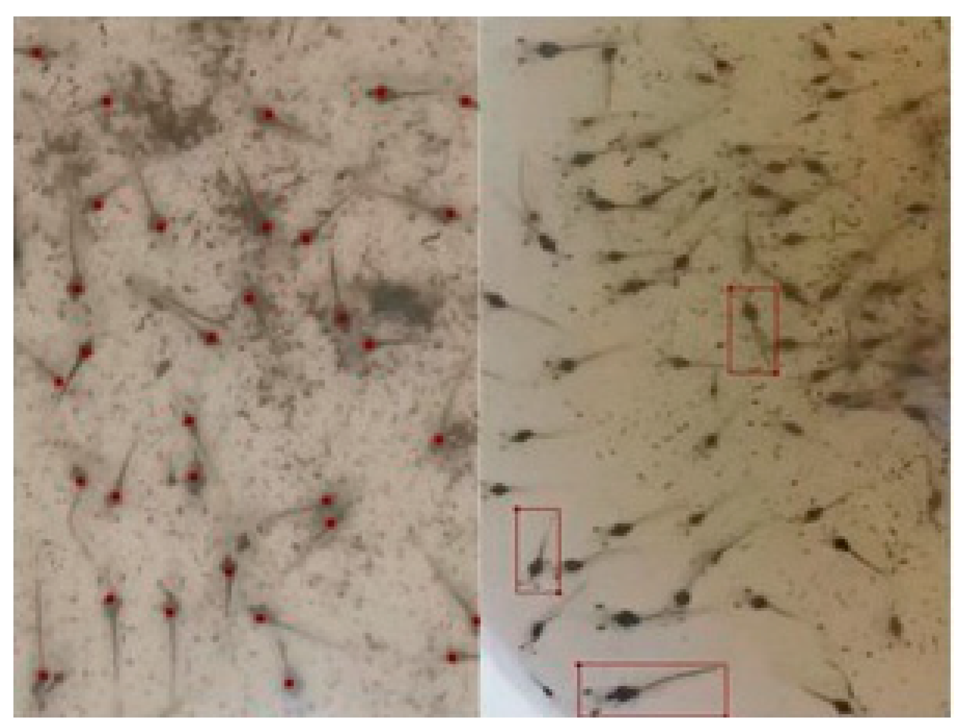 Electronics 13 04737 g006