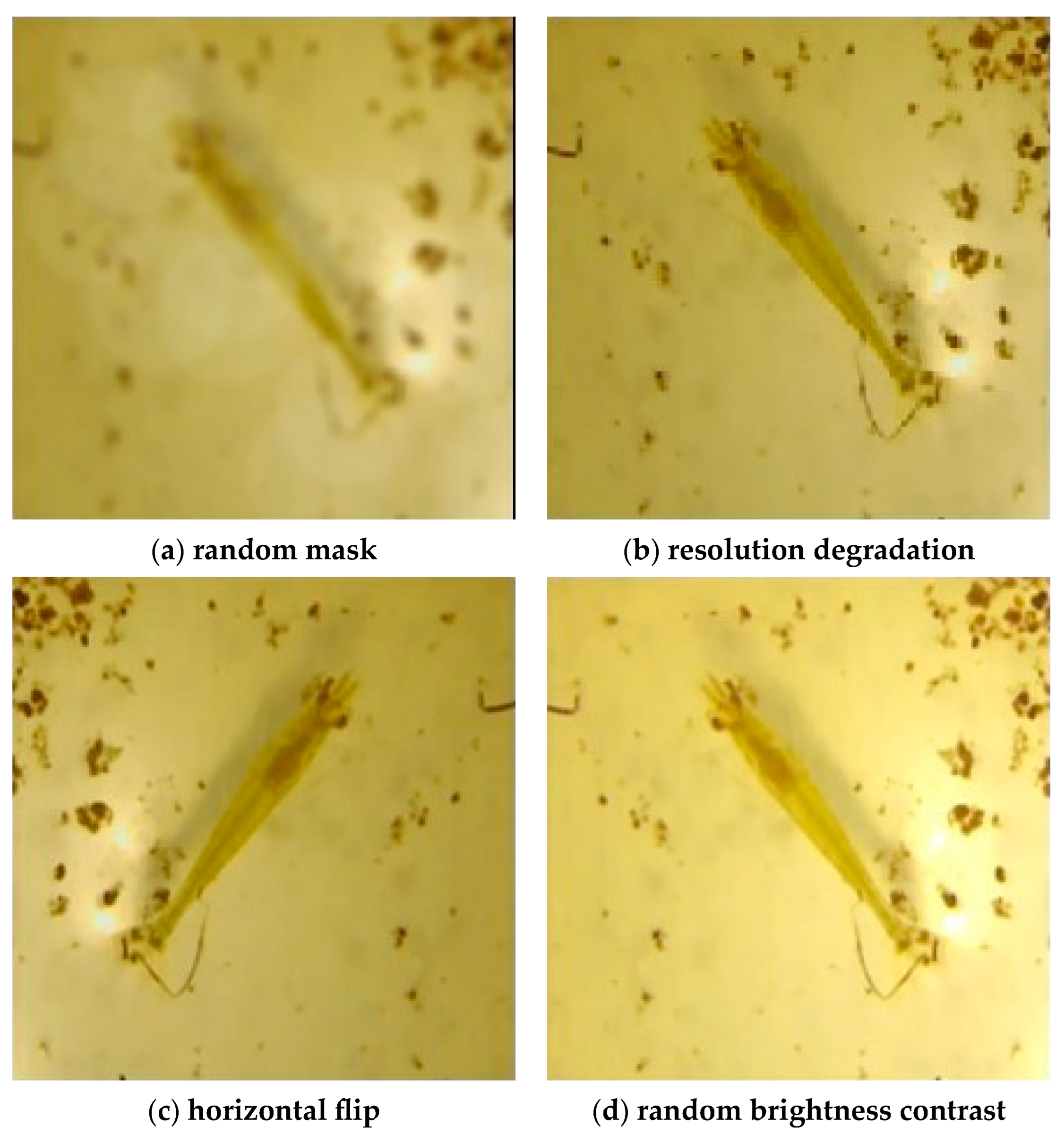 Electronics 13 04737 g007