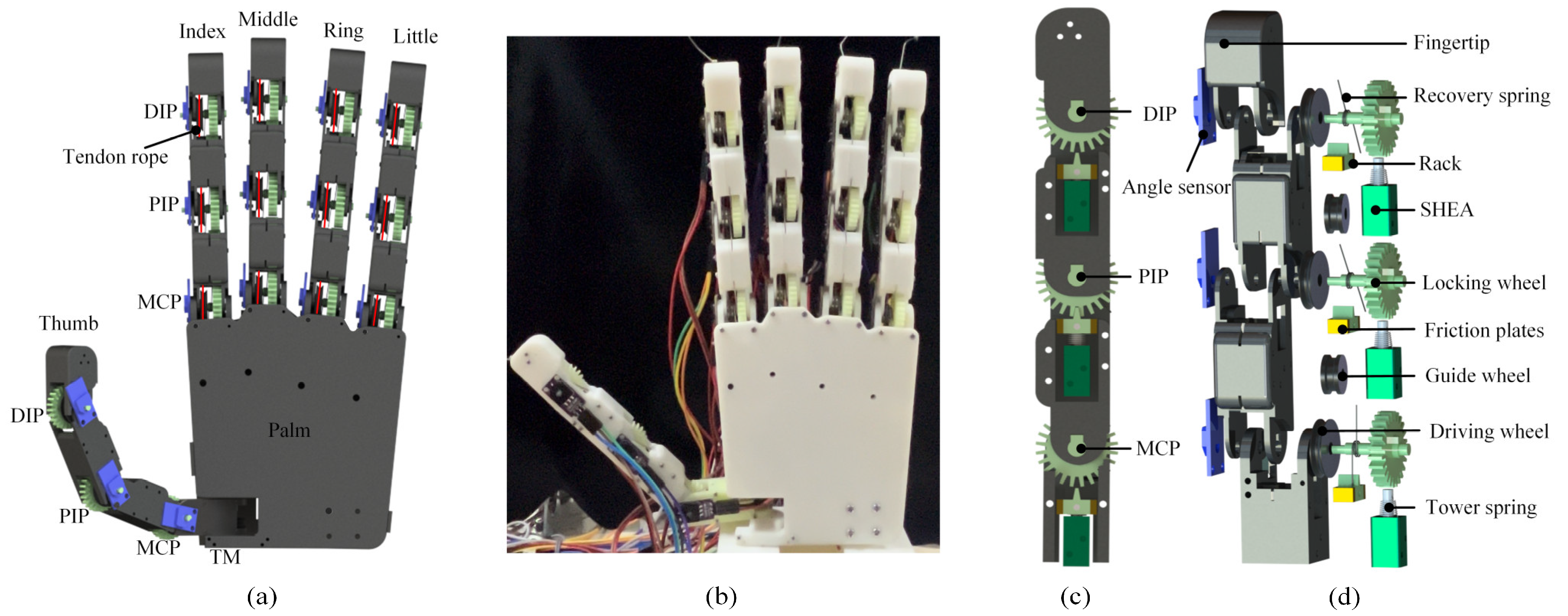 Electronics 13 04809 g003