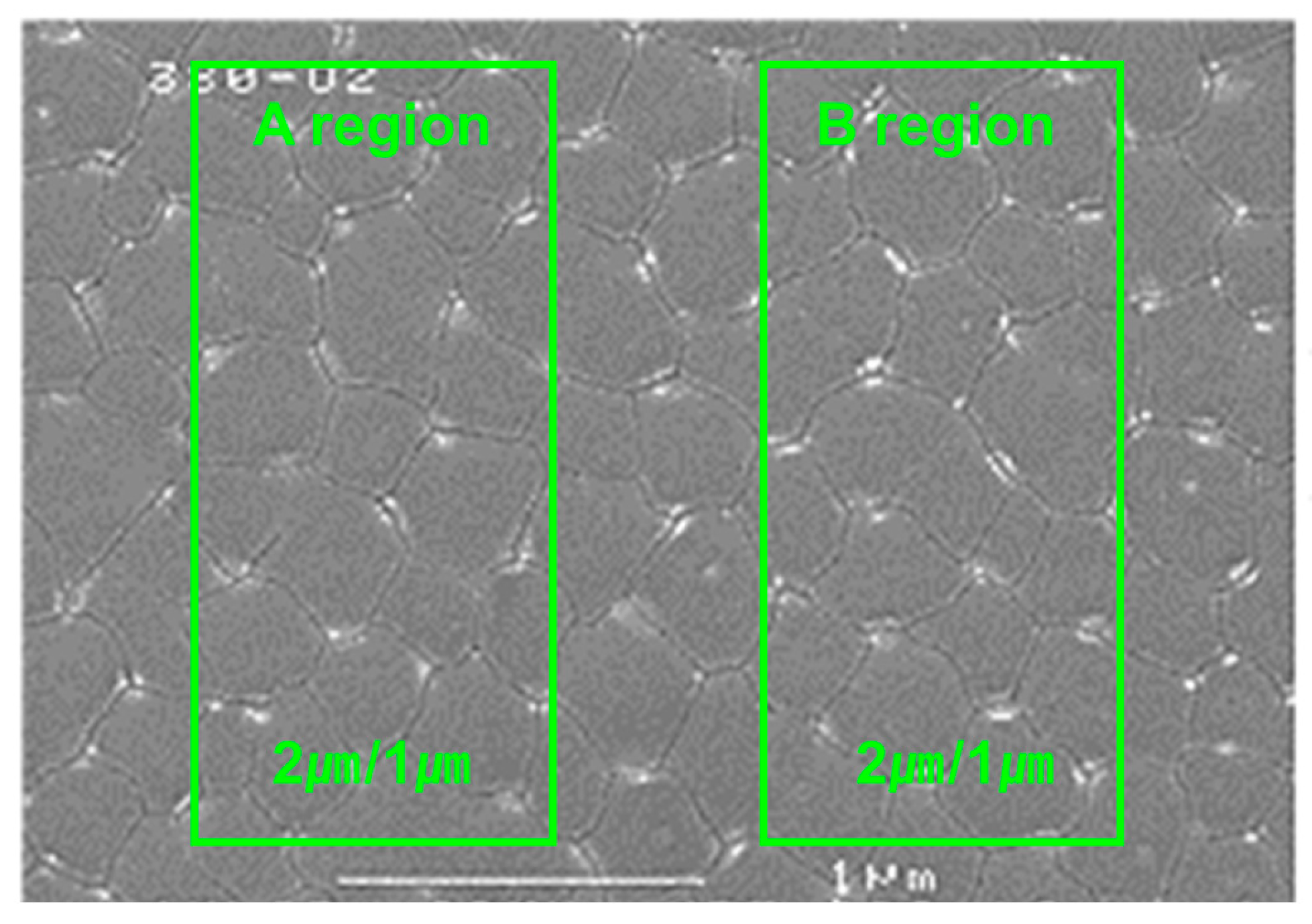 Electronics 13 04810 g004