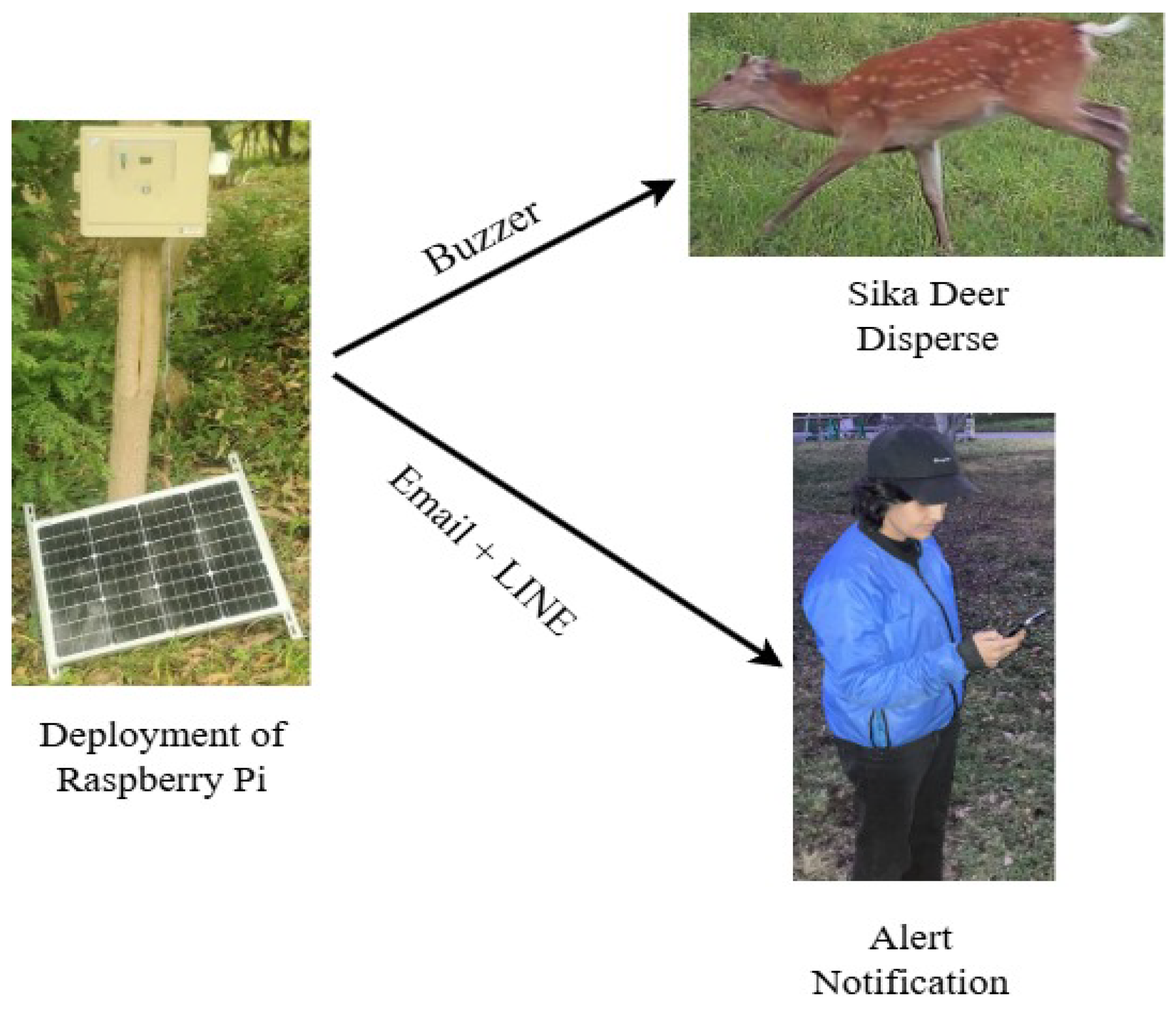 Electronics 13 04852 g001