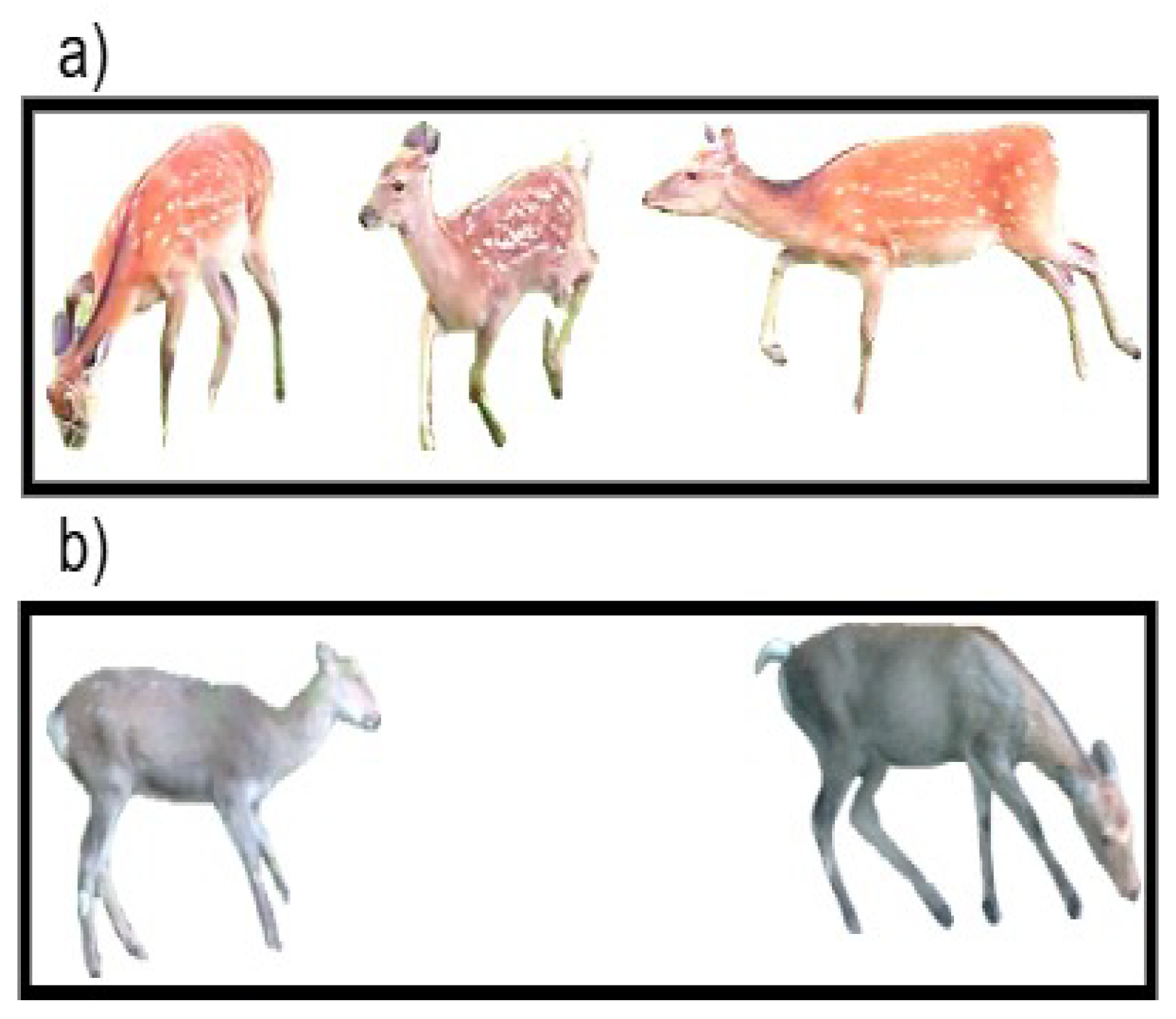 Electronics 13 04852 g008