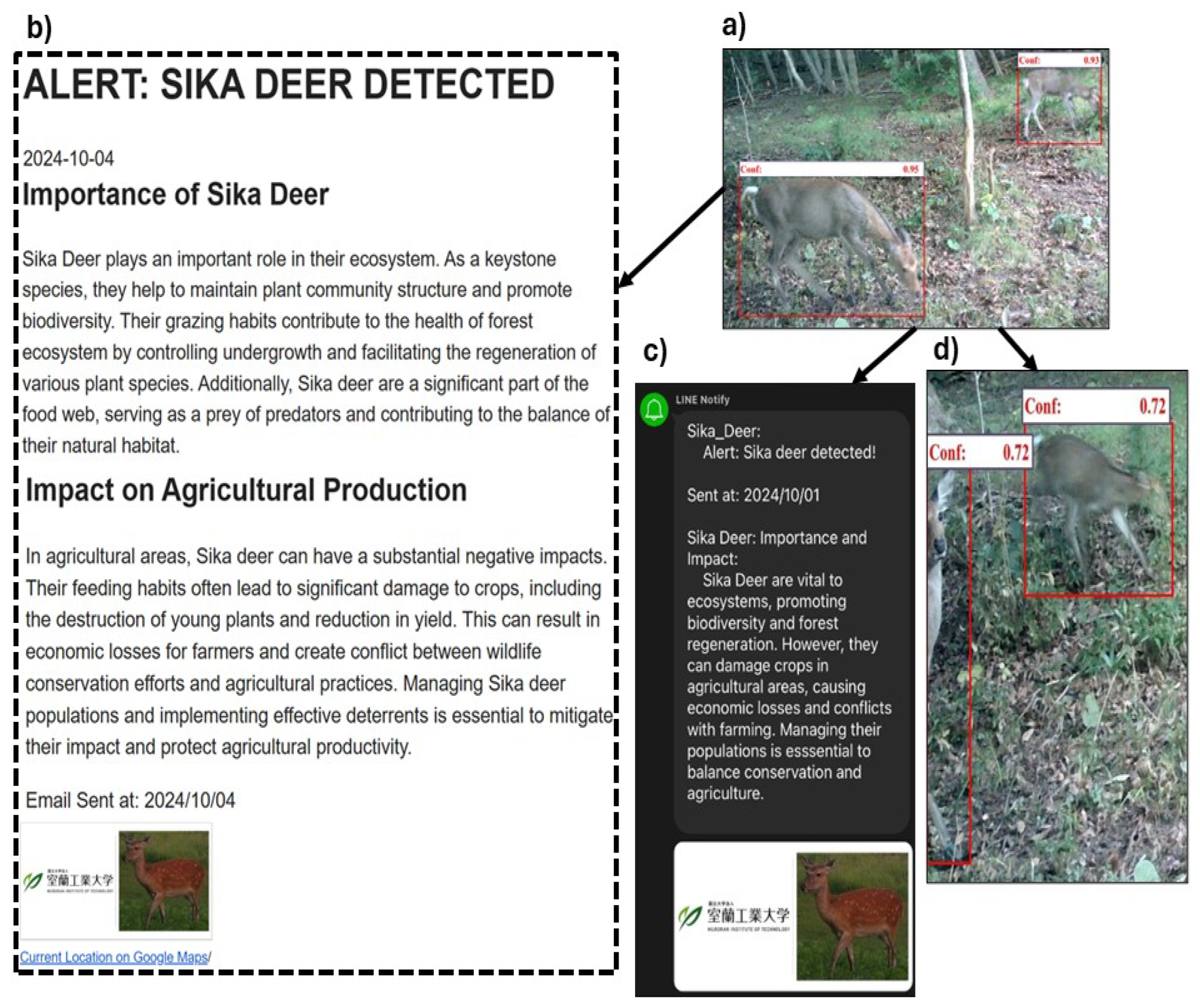 Electronics 13 04852 g009