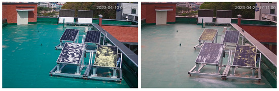 Electronics 13 04859 g0a1