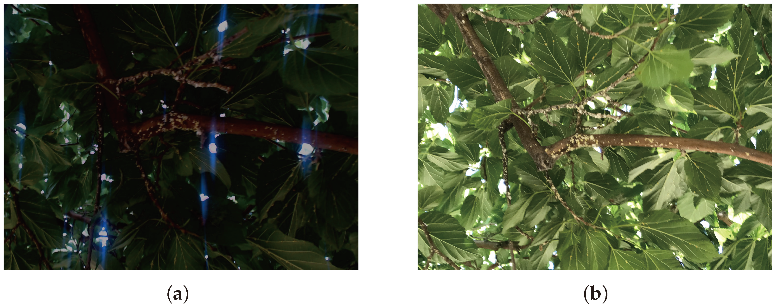 Electronics 13 04863 g003