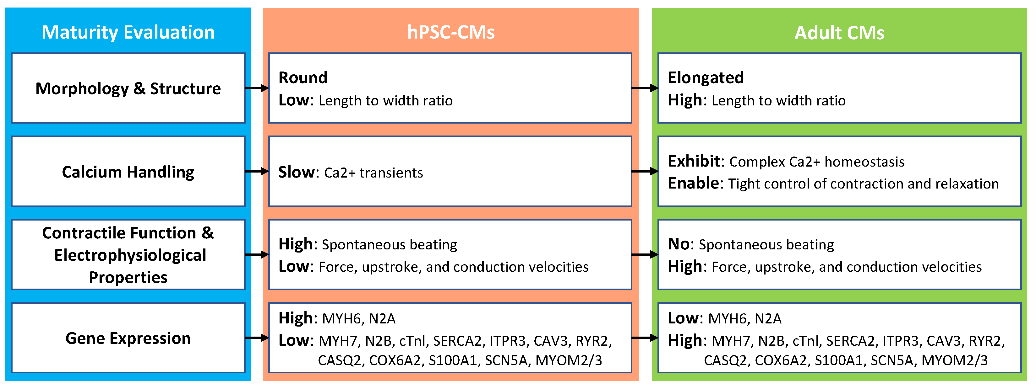 Electronics 13 04985 g001