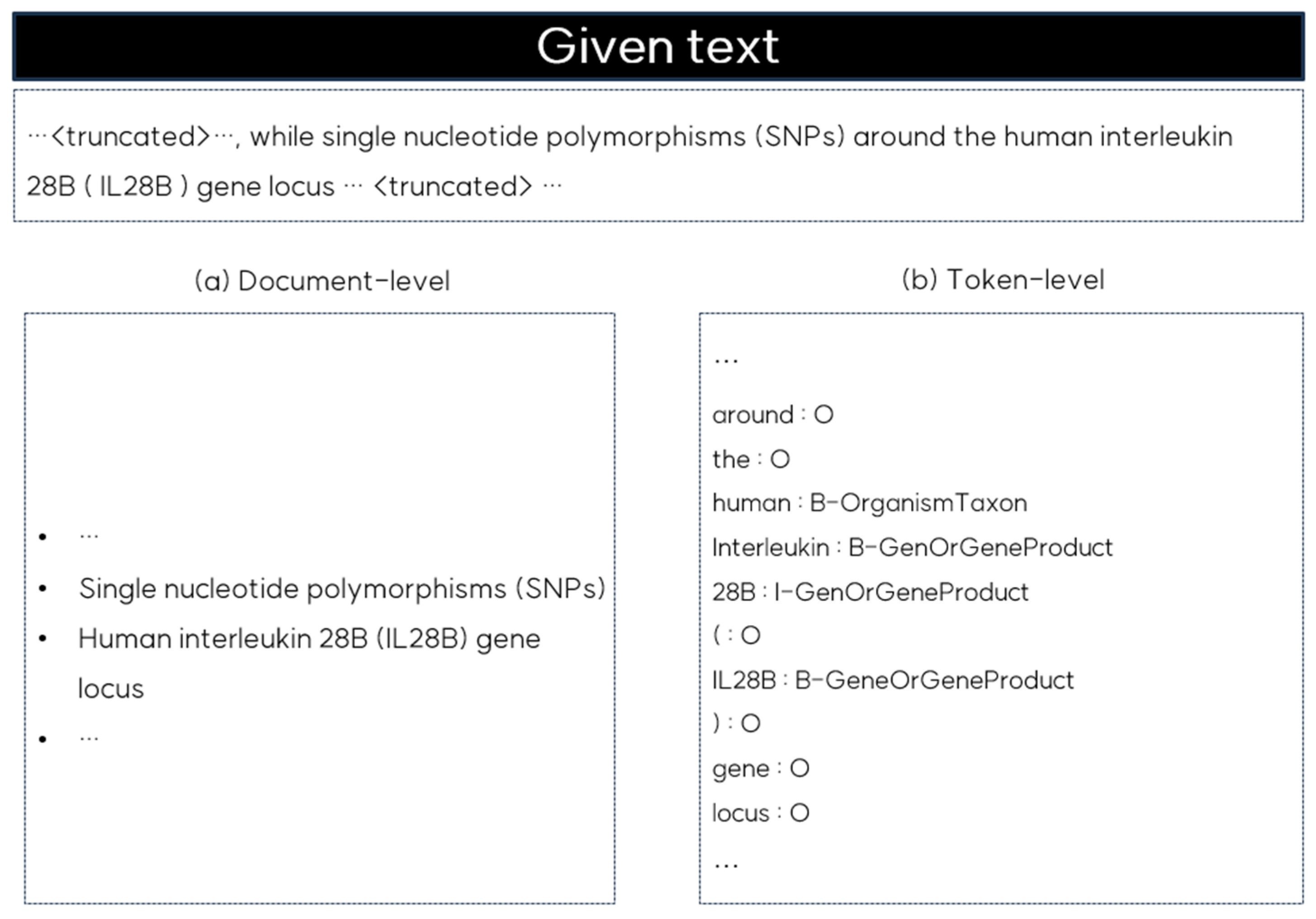 Electronics 14 00328 g001