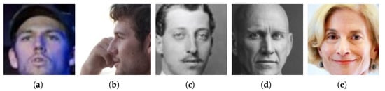 Electronics 14 00455 g0a1