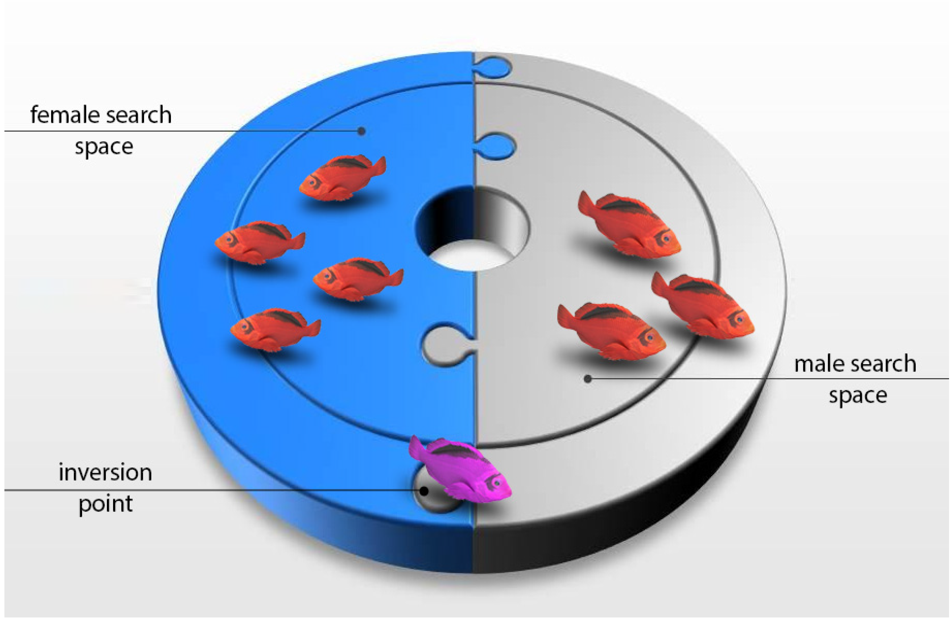 Electronics 14 00611 g003