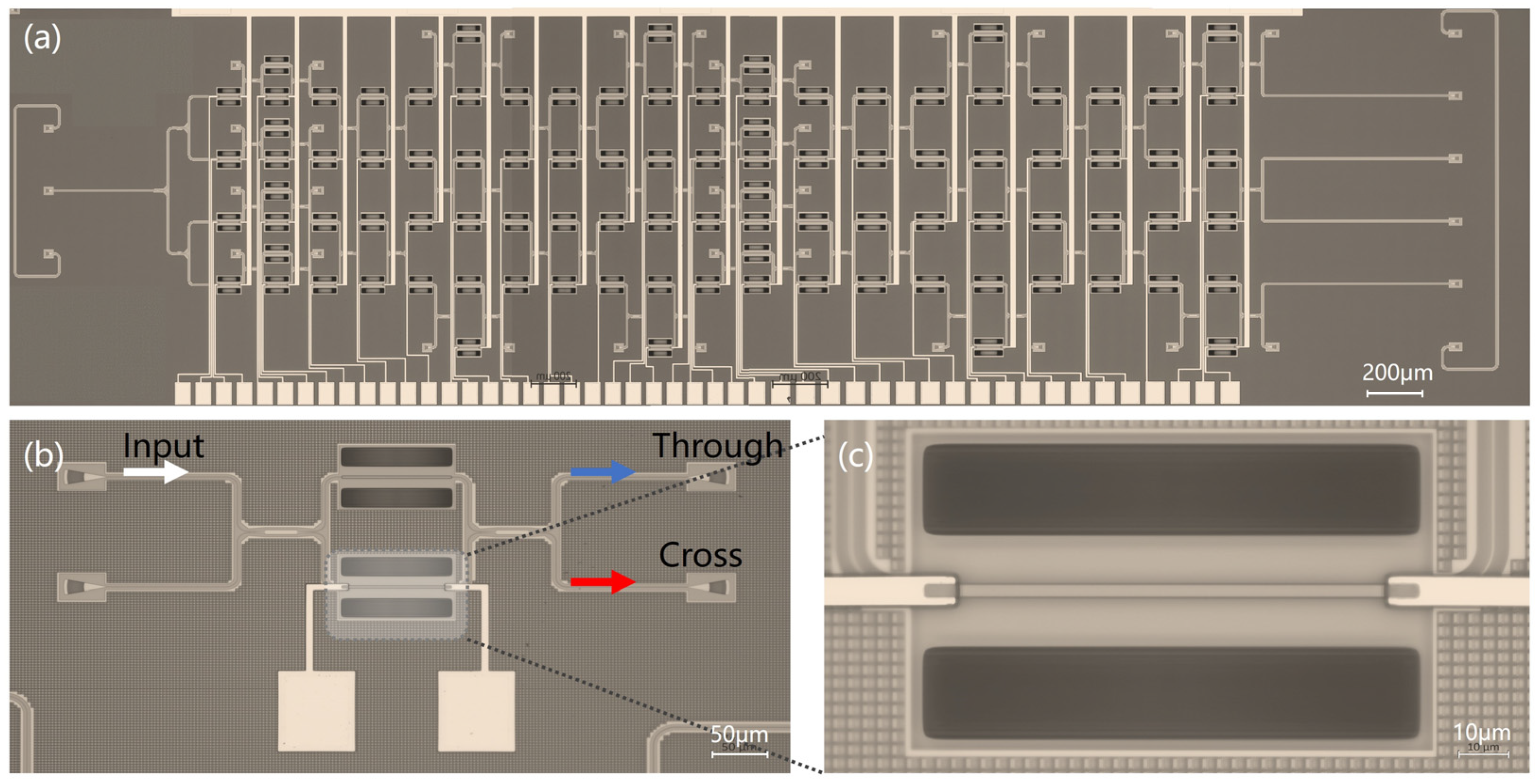 Electronics 14 00709 g003