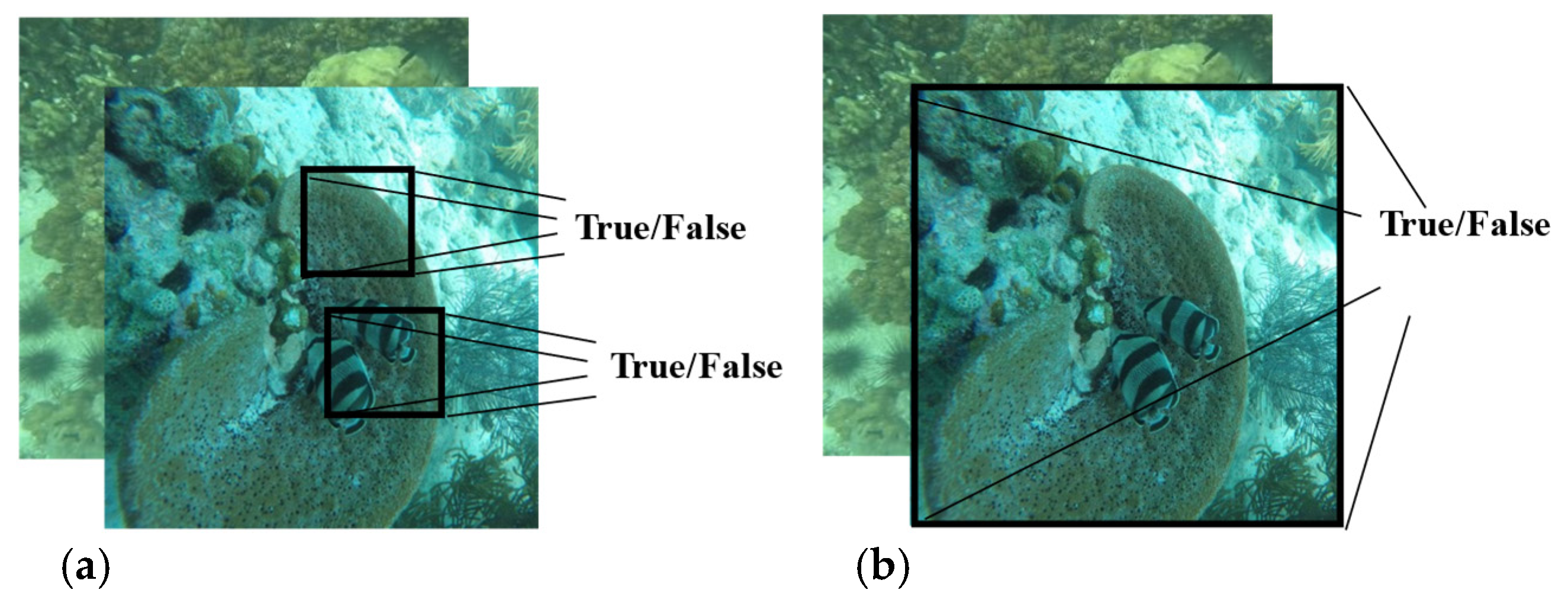 Electronics 14 01203 g005