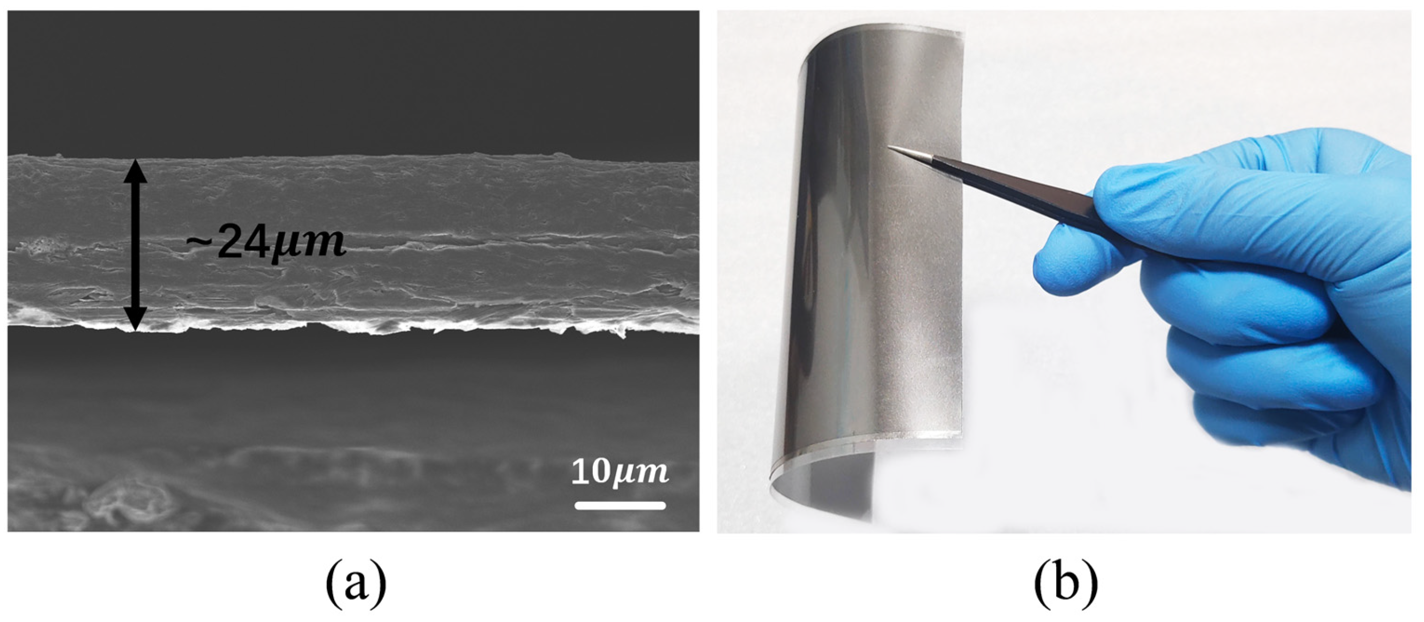 Electronics 14 01314 g001