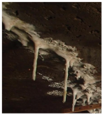 Electronics 14 01407 i002