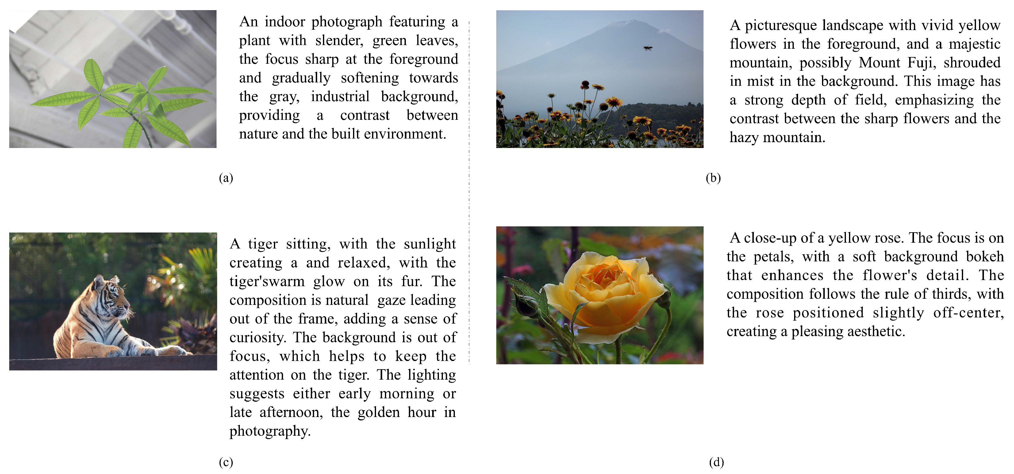 Electronics 14 01425 g004