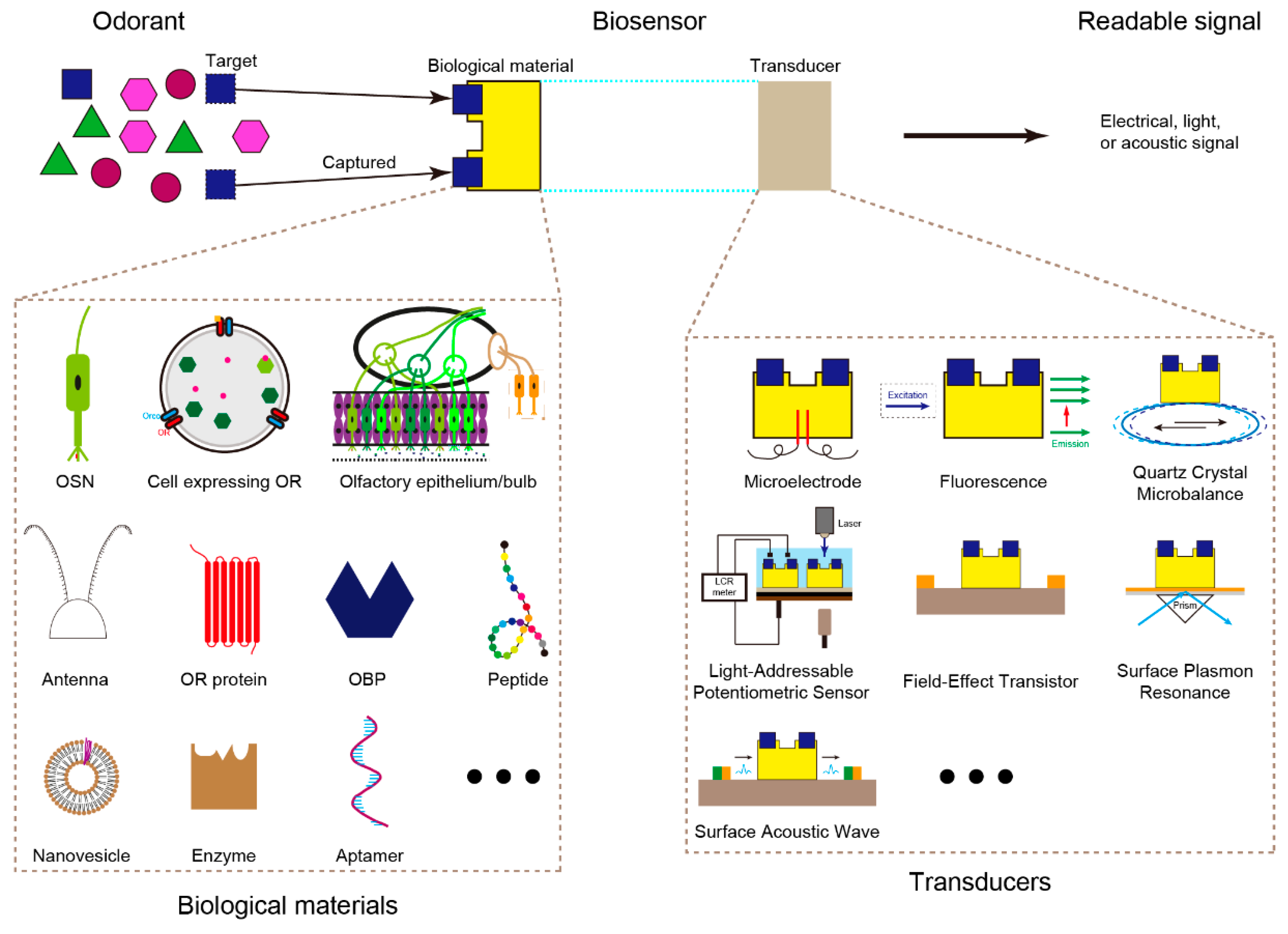 Electronics 14 01852 g001