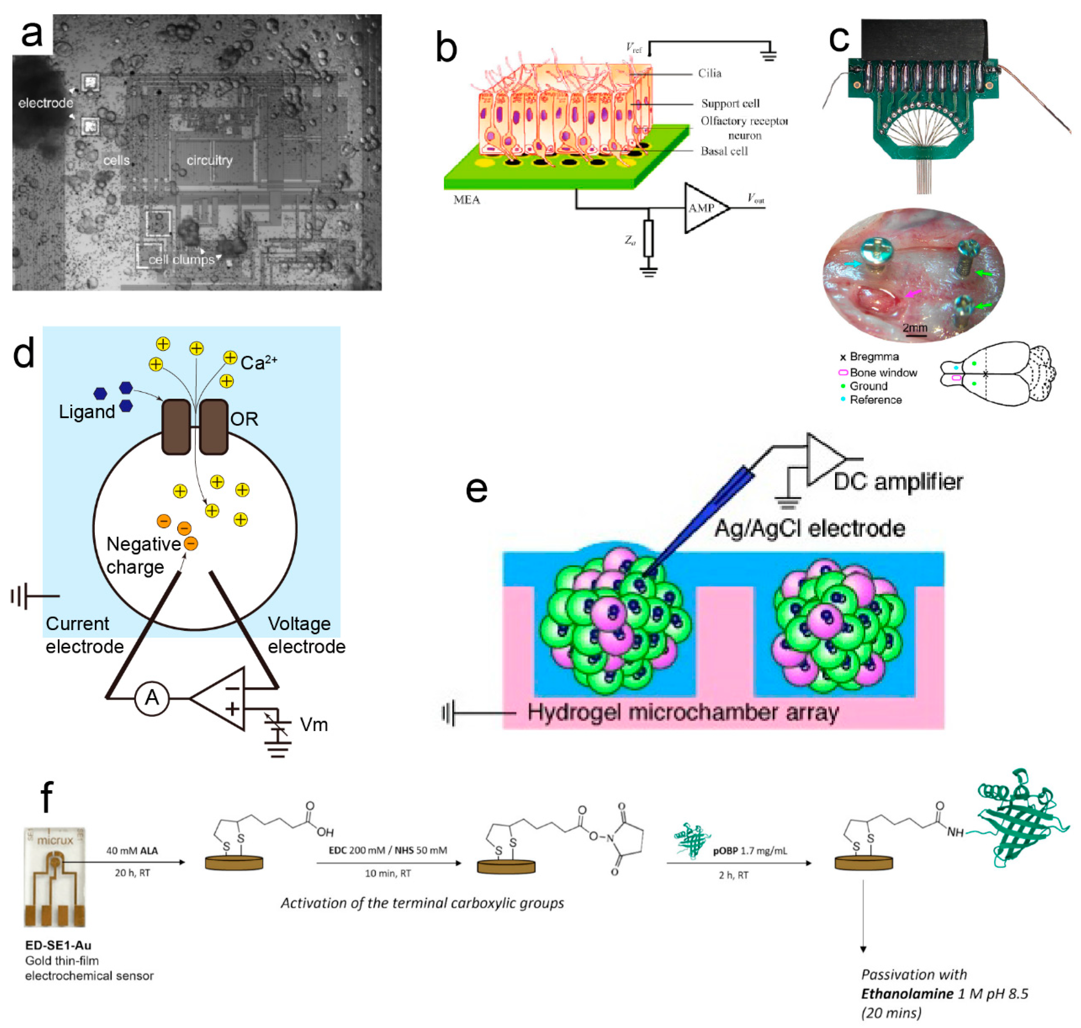 Electronics 14 01852 g002