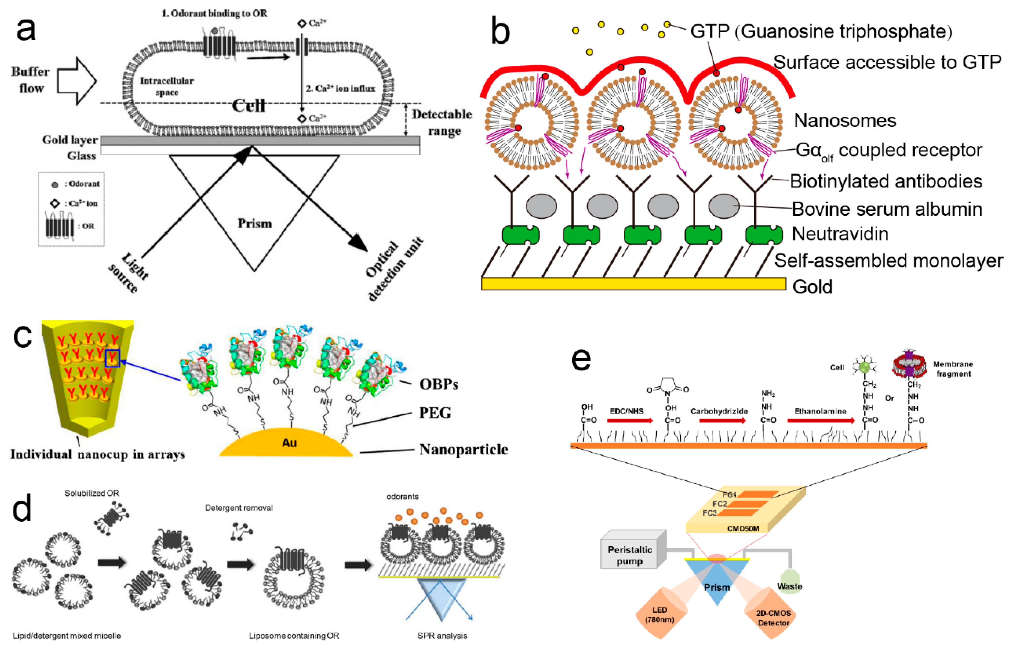 Electronics 14 01852 g004