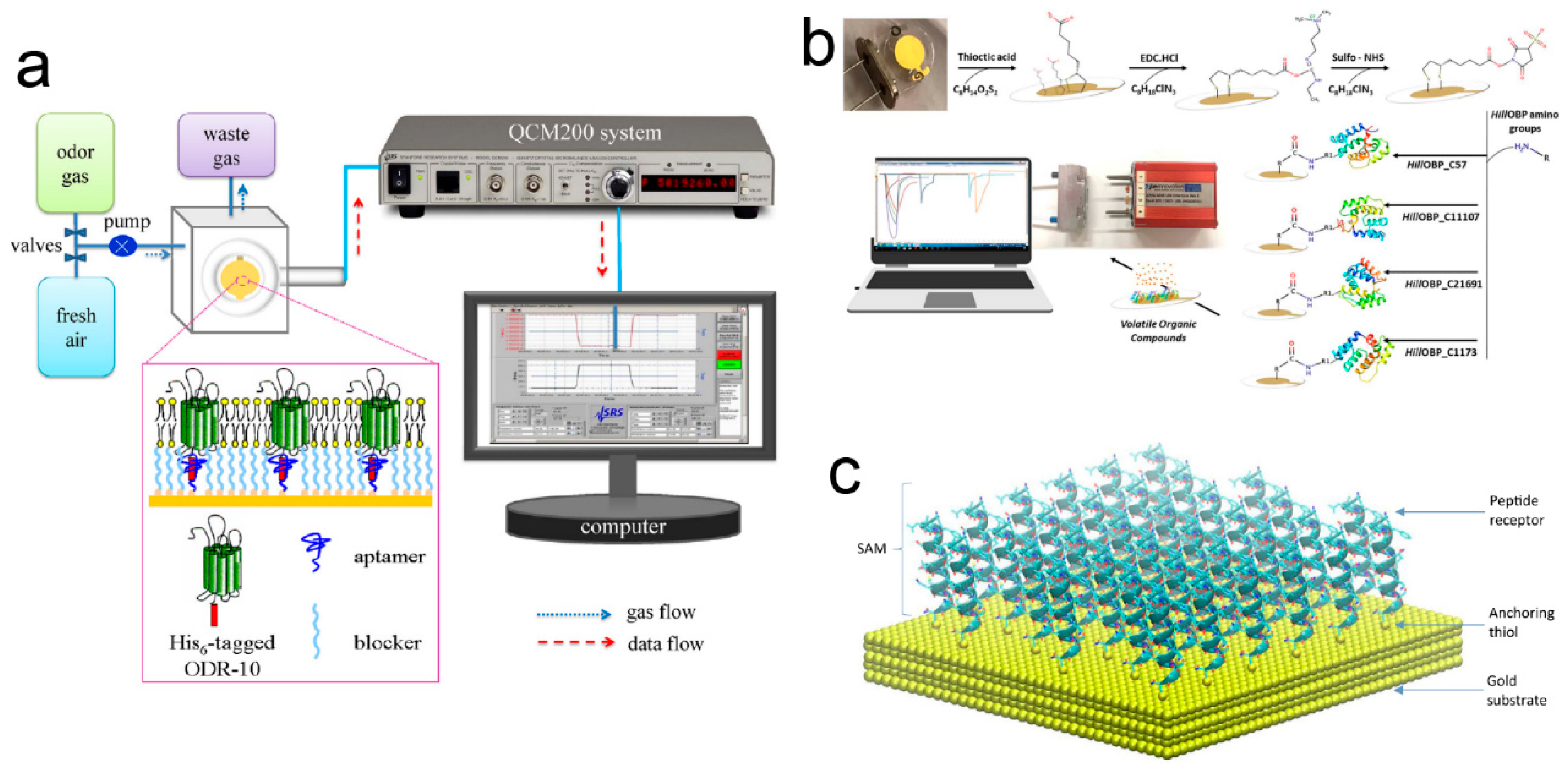 Electronics 14 01852 g006
