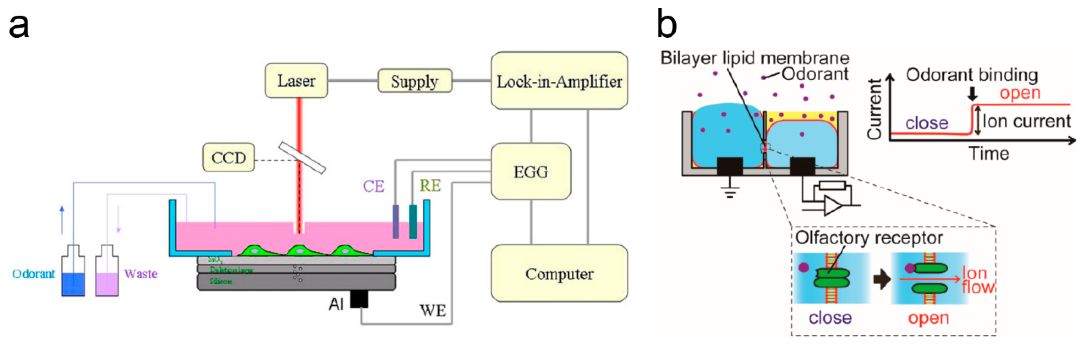 Electronics 14 01852 g008