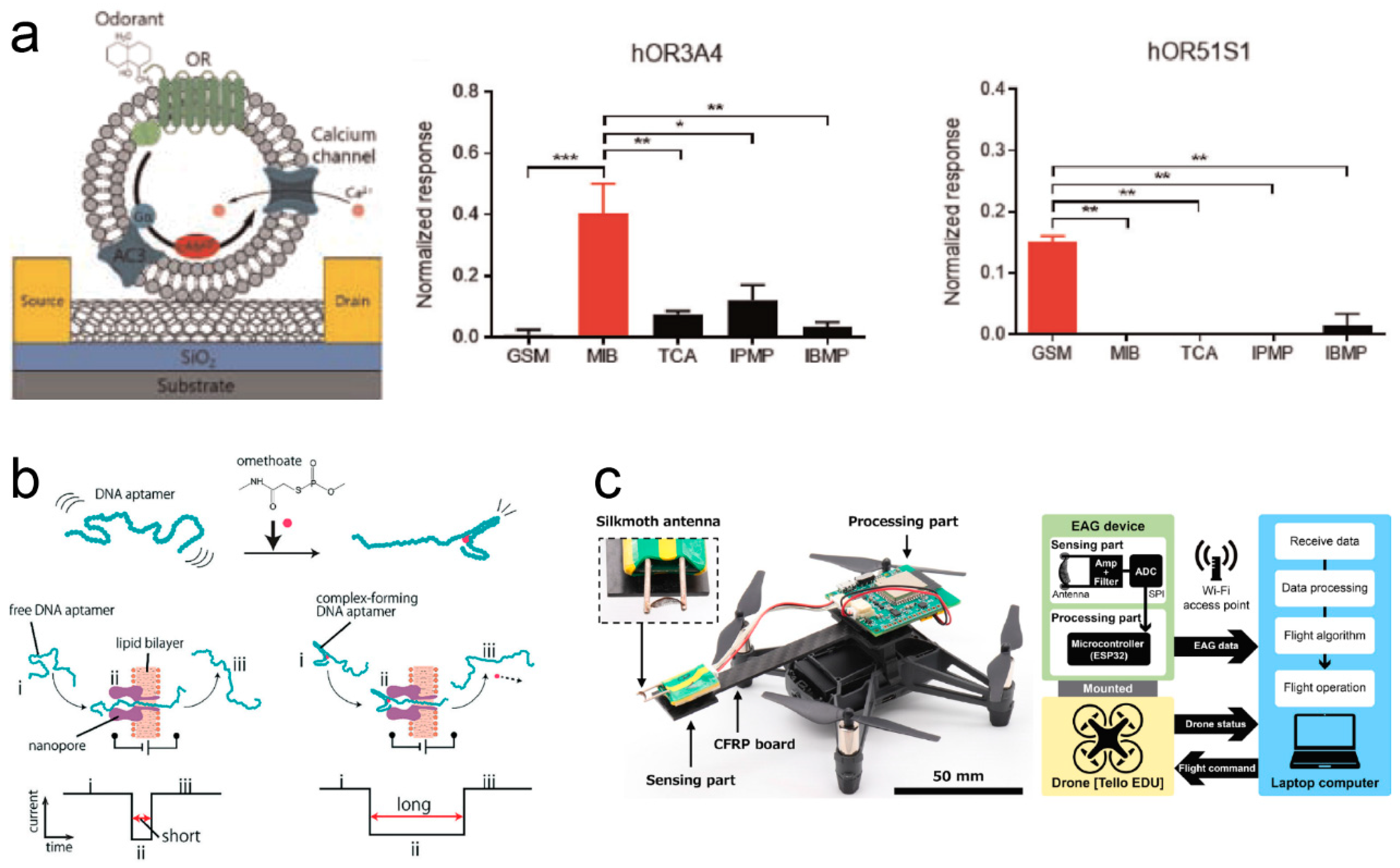 Electronics 14 01852 g009