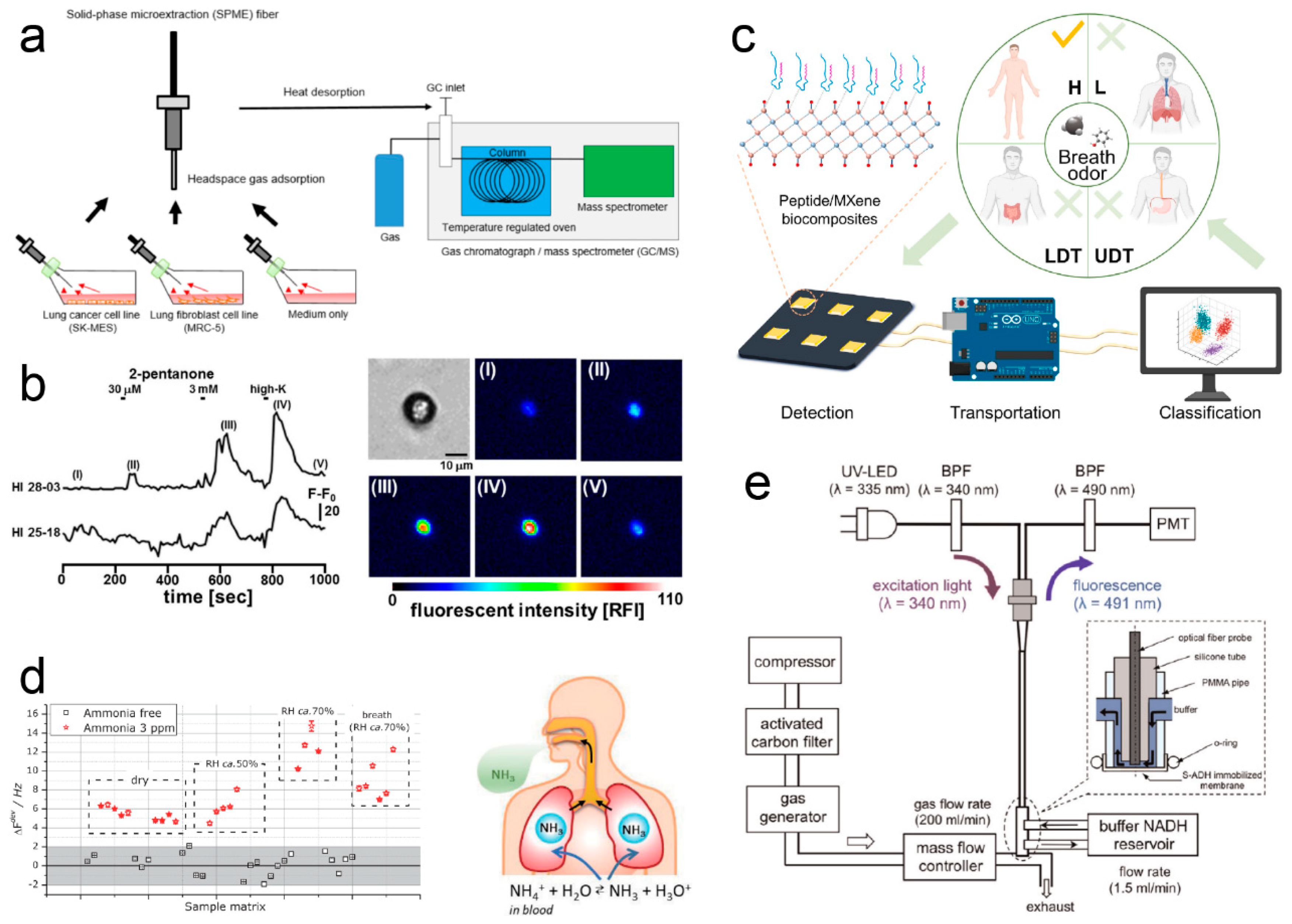 Electronics 14 01852 g010
