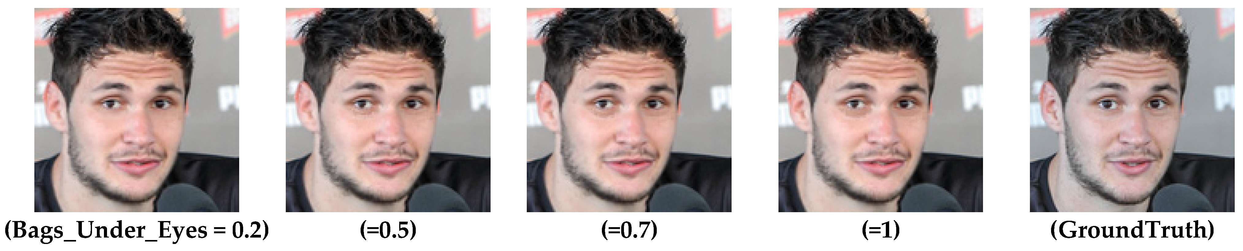 Electronics 14 02070 g015