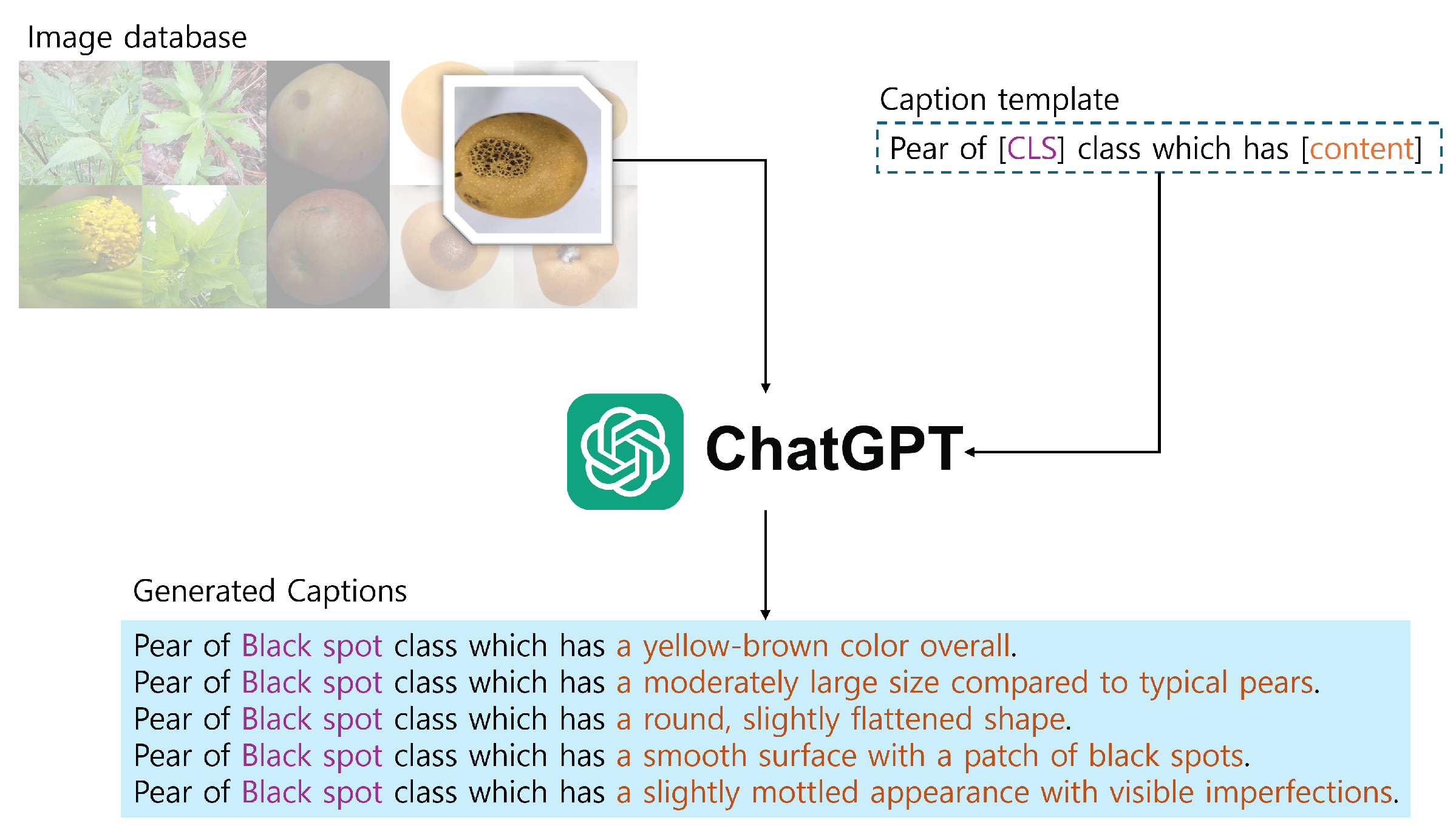 Electronics 14 02087 g001